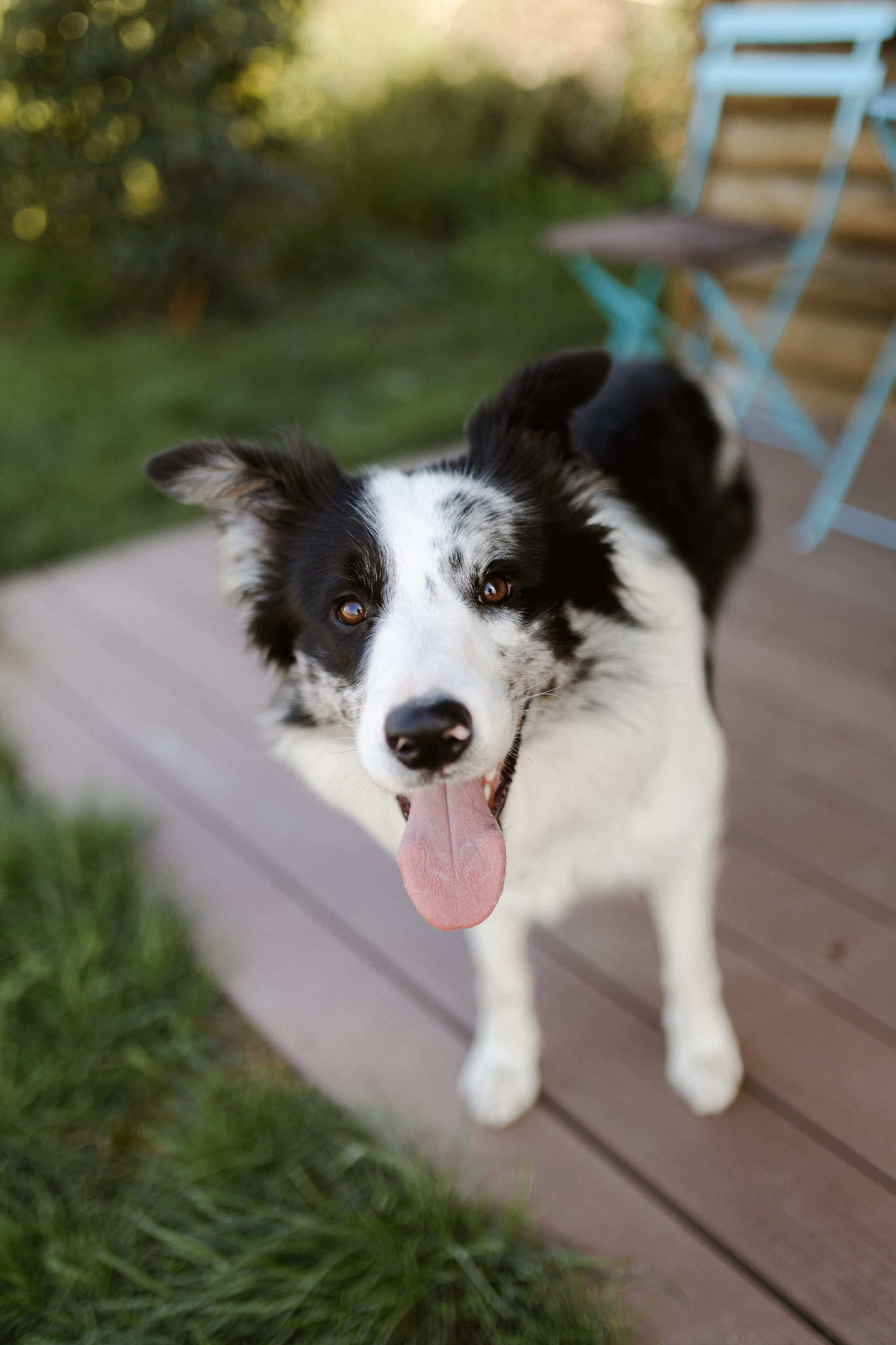 Wedding at Province Timisoara | Cristina & Robert. Wedding photographer and videographer based in Timisoara, Romania