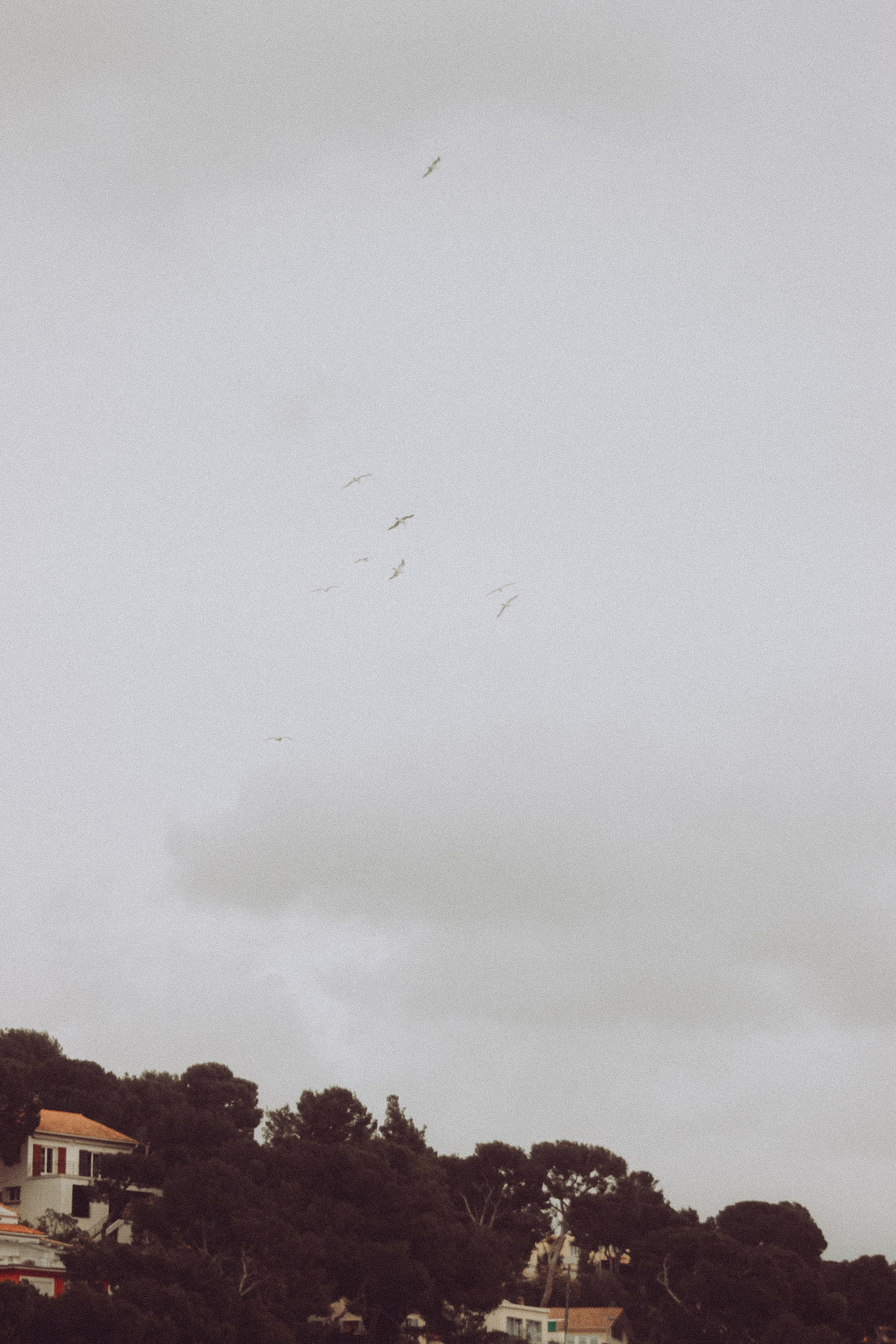 People. Photographe à la Seyne sur Mer, Var