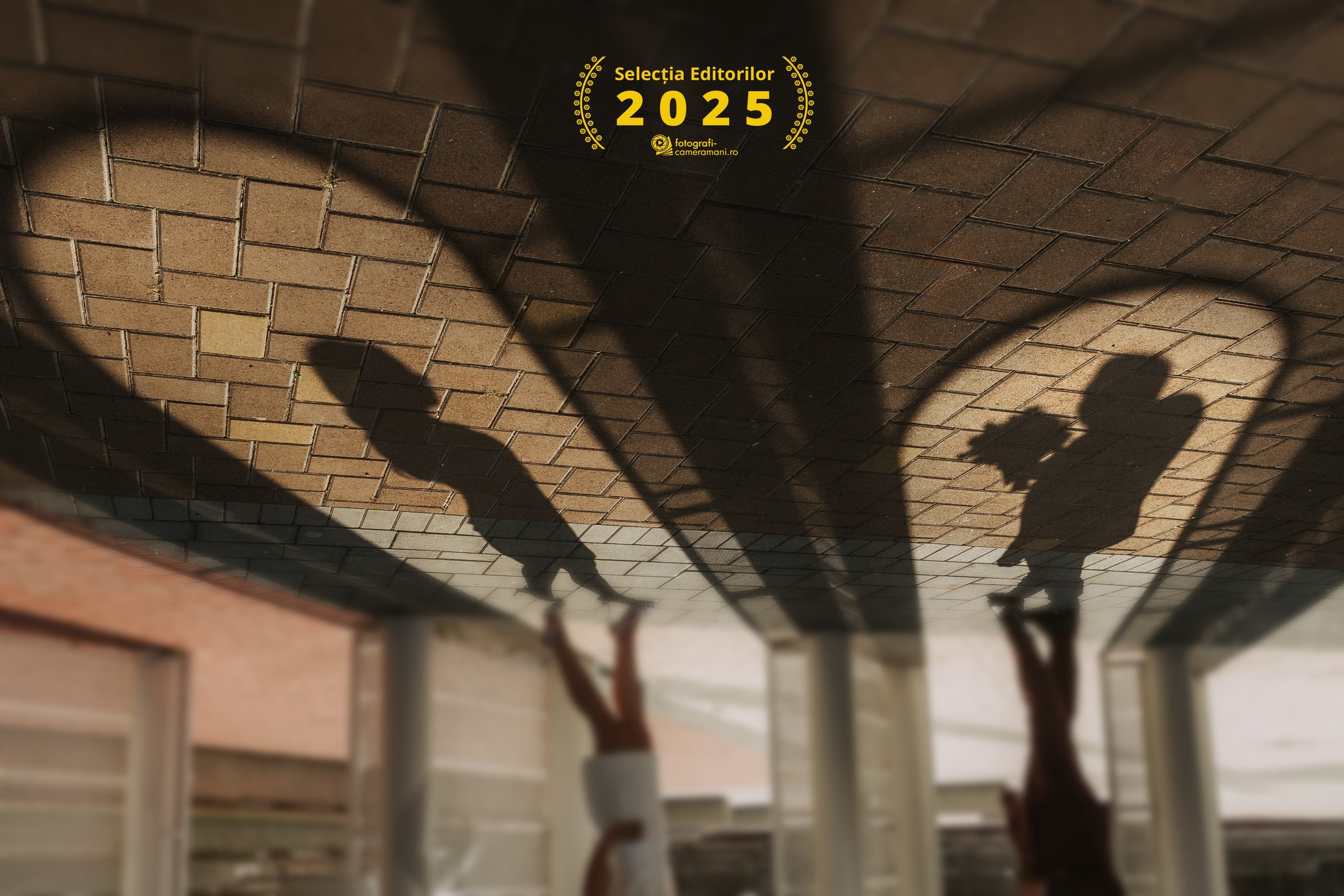 Best Of. Spoiala Brothers — Wedding Films & Photography