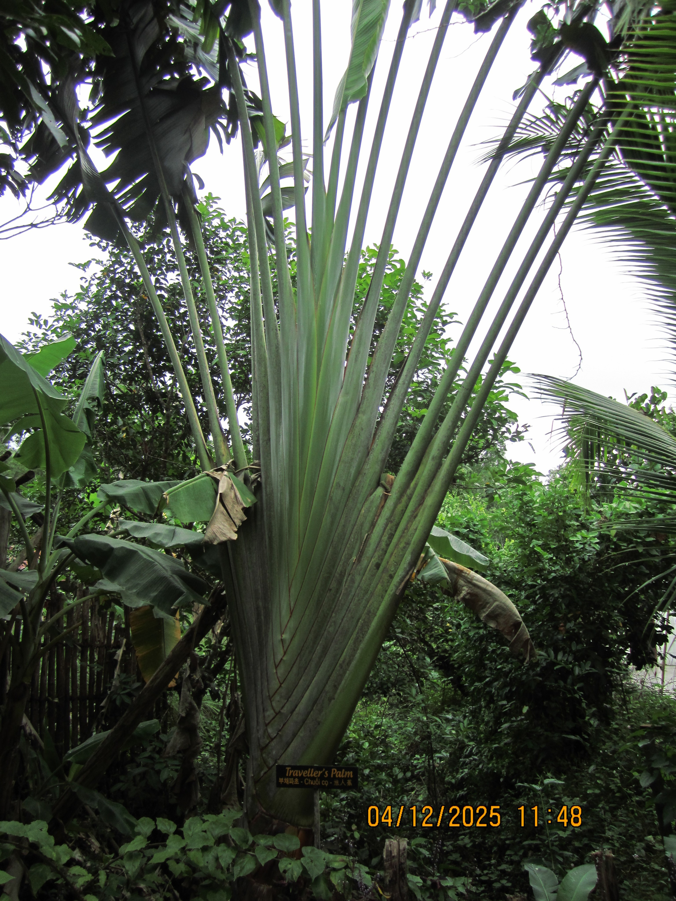 Десятый день. LondoSpeed Photography