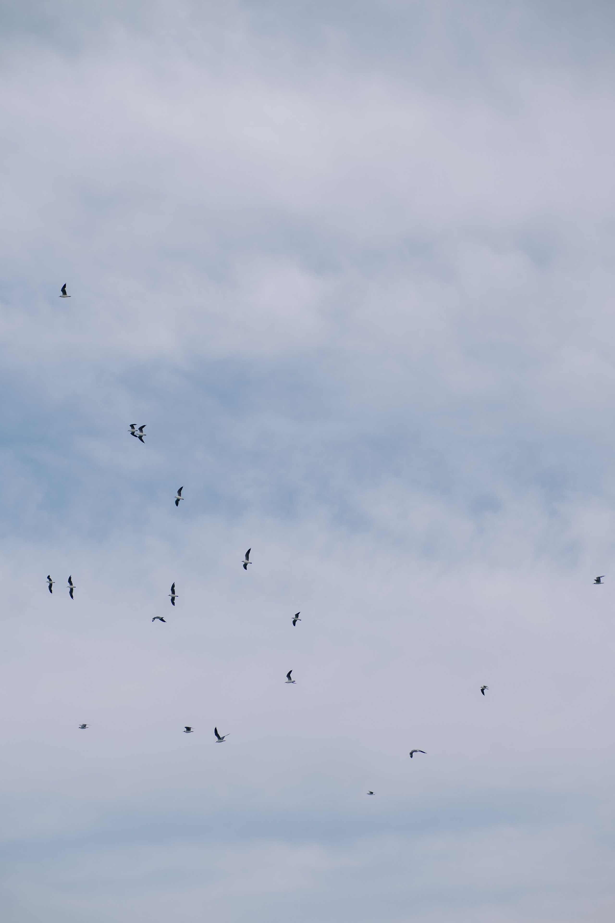 Samilly e Magno. Larissareisfotografa