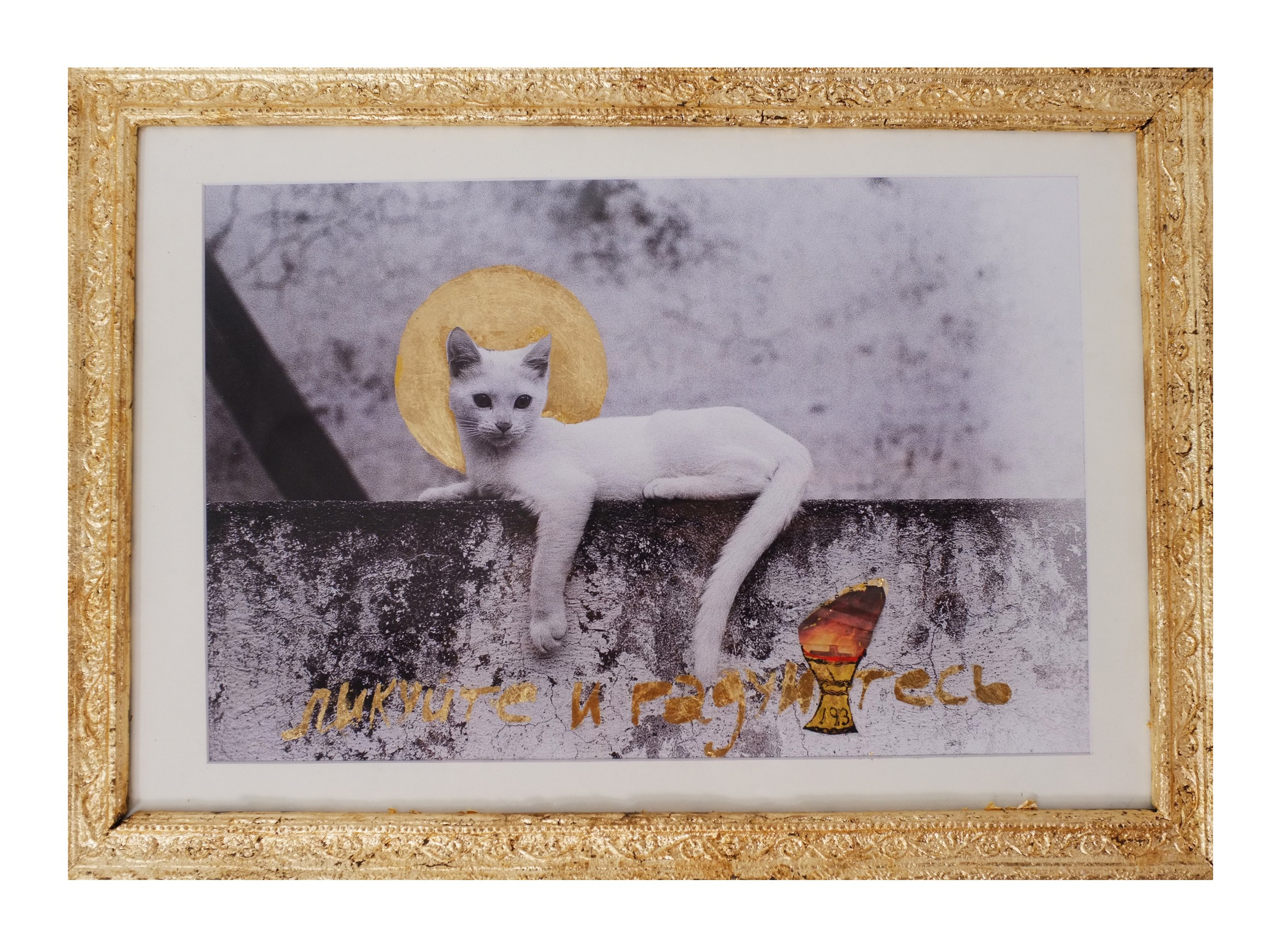 Cat Caravan. Natalia Parfenova visual artist film photographer