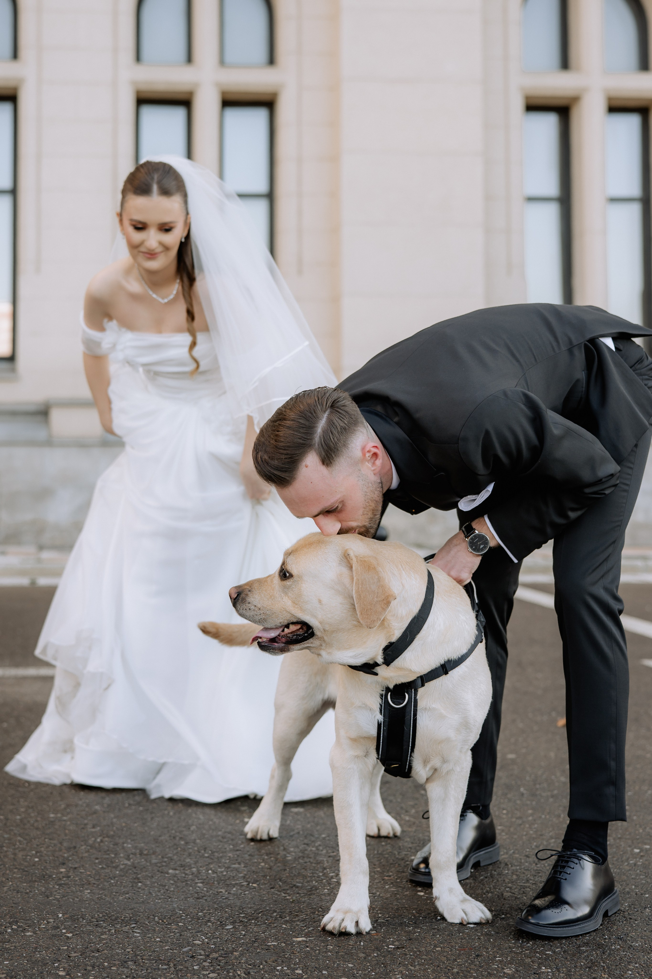 Andreea + Silviu | Wedding day. Proud Vision Weddings | Wedding Photography & Film — Servicii profesionale Foto Video Nunta Iasi