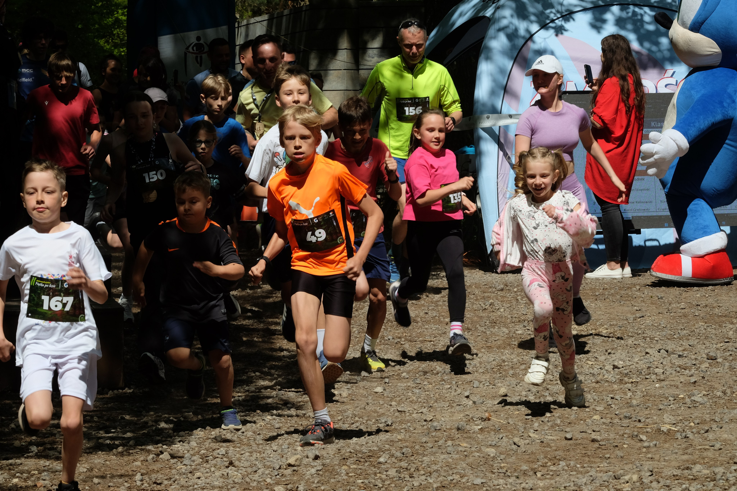 Aleksandryjska Piątka po lesie. Main