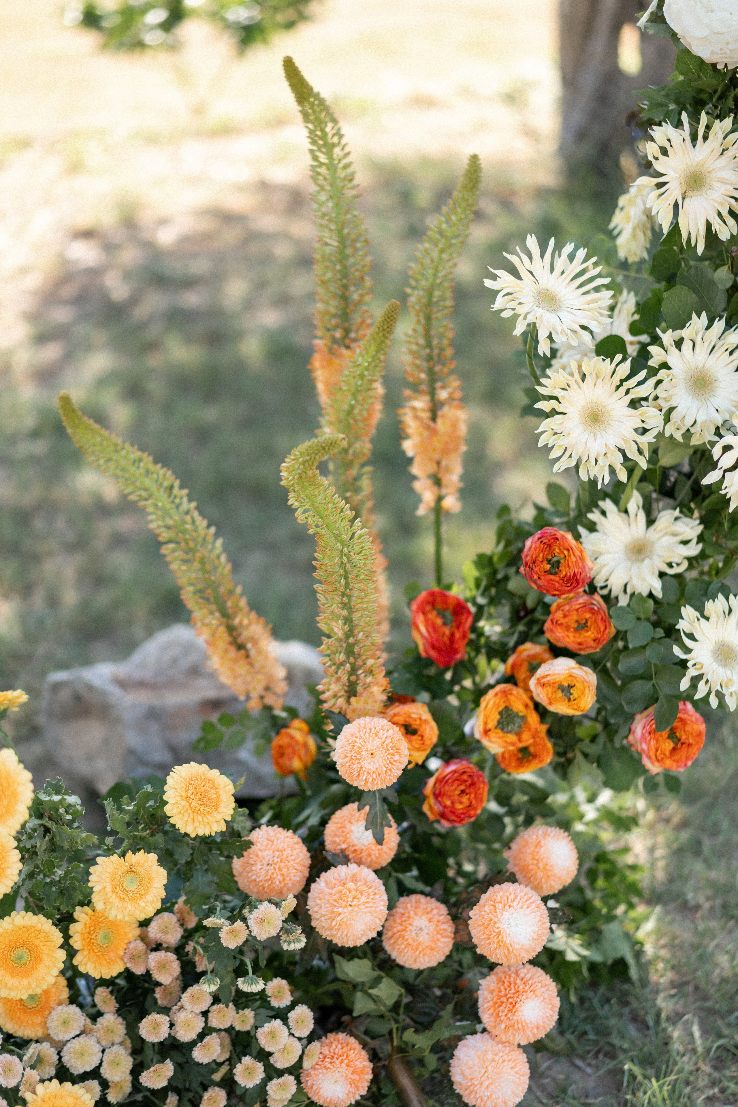 Talici Hill Wedding in Montenegro