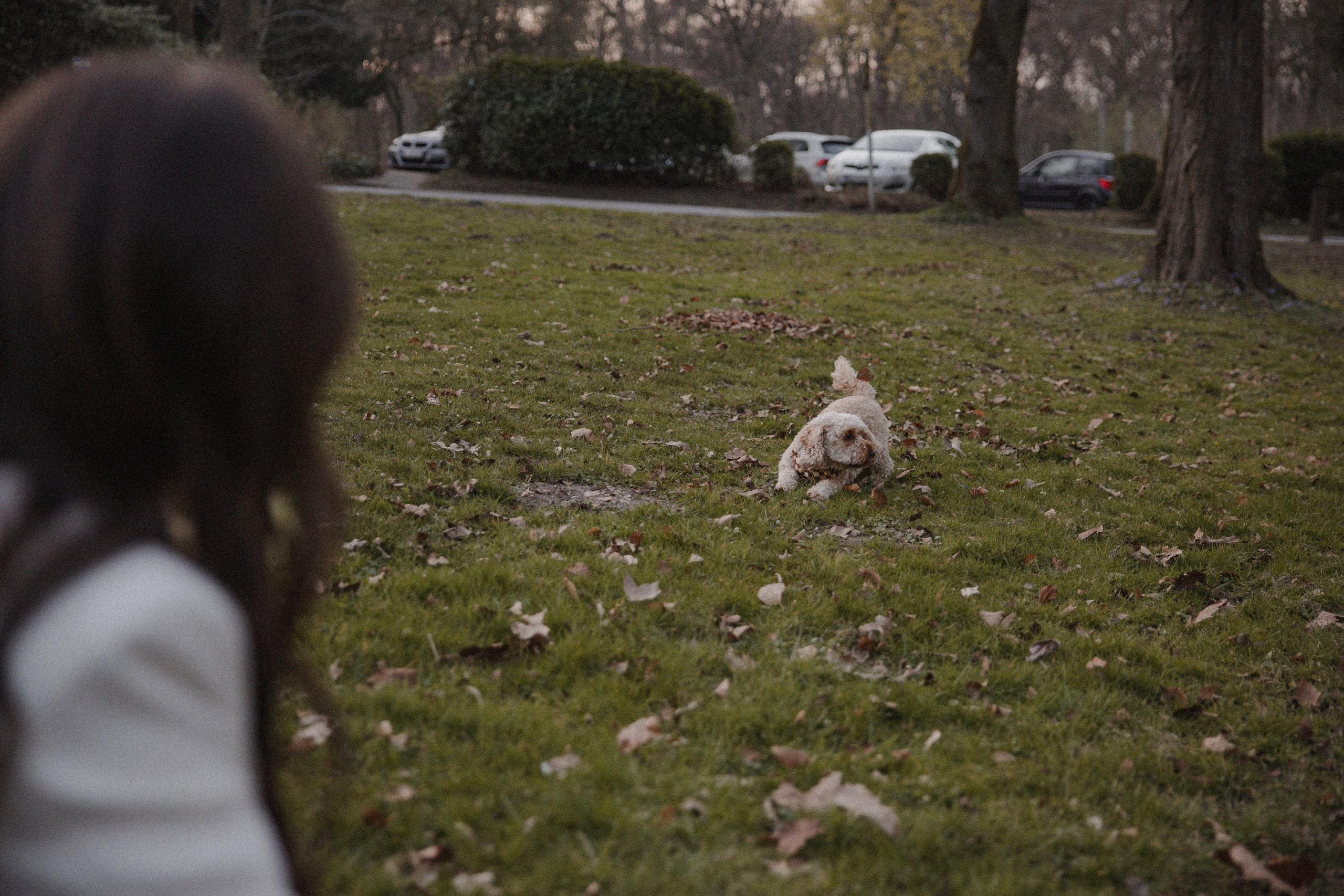 Morena & Niklas I Haus Hohenstein. Hochzeitsfotografin Bochum | Halyna Reiche Fotografie NRW