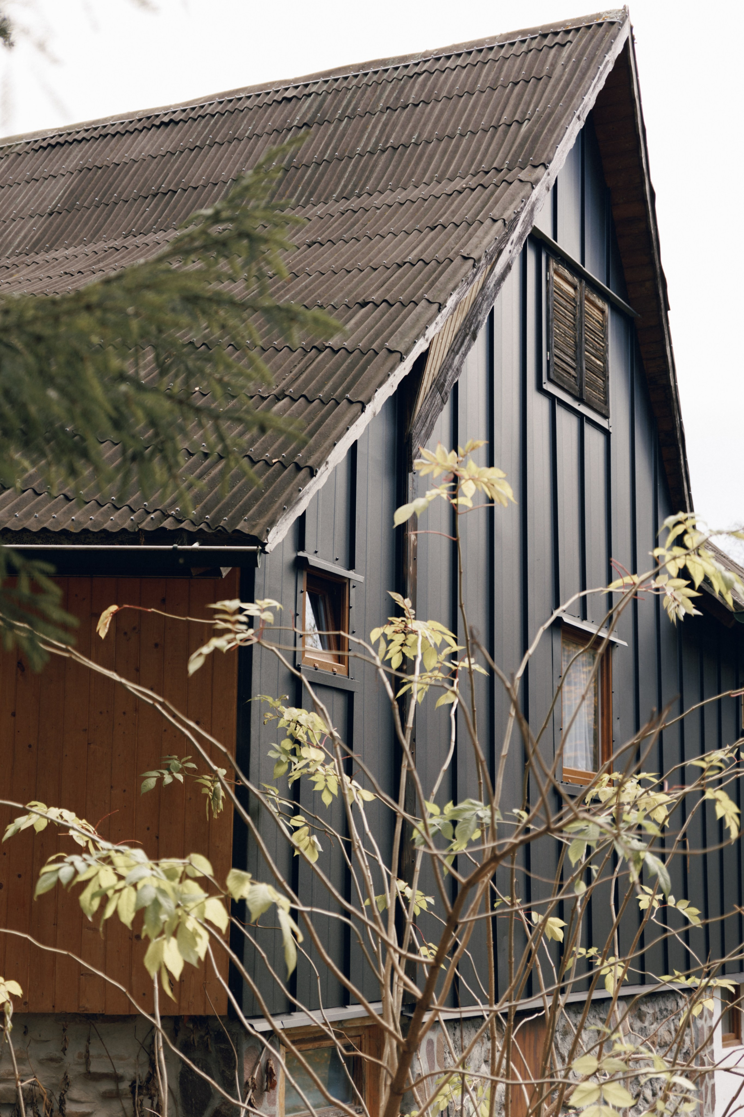 Airbnb photos. Patricia Morenci — Mountain Adventures for the Wild at Heart