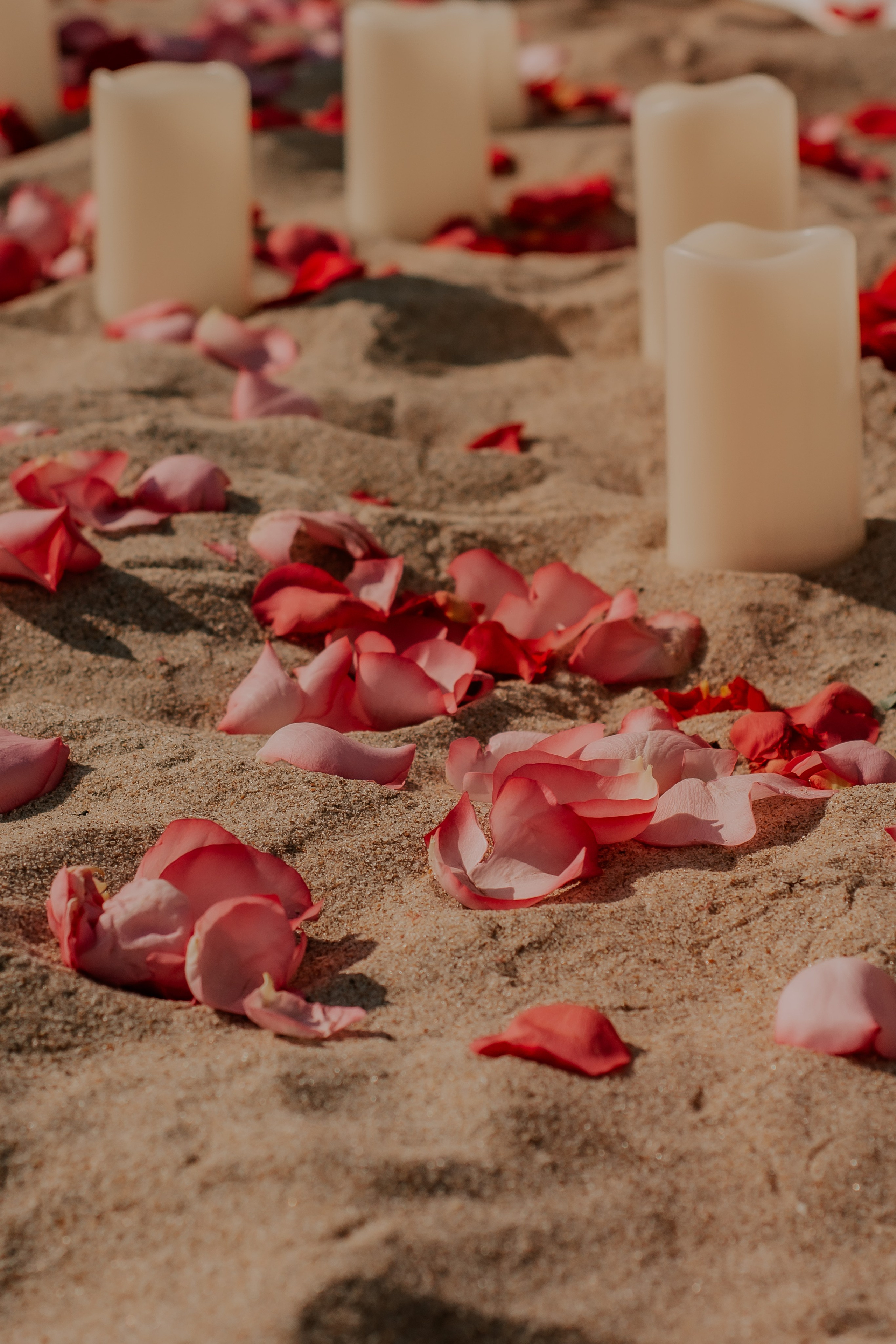 Wedding photography in Miami. Professional portrait photographer in Los Angeles | Axenia Haritonova