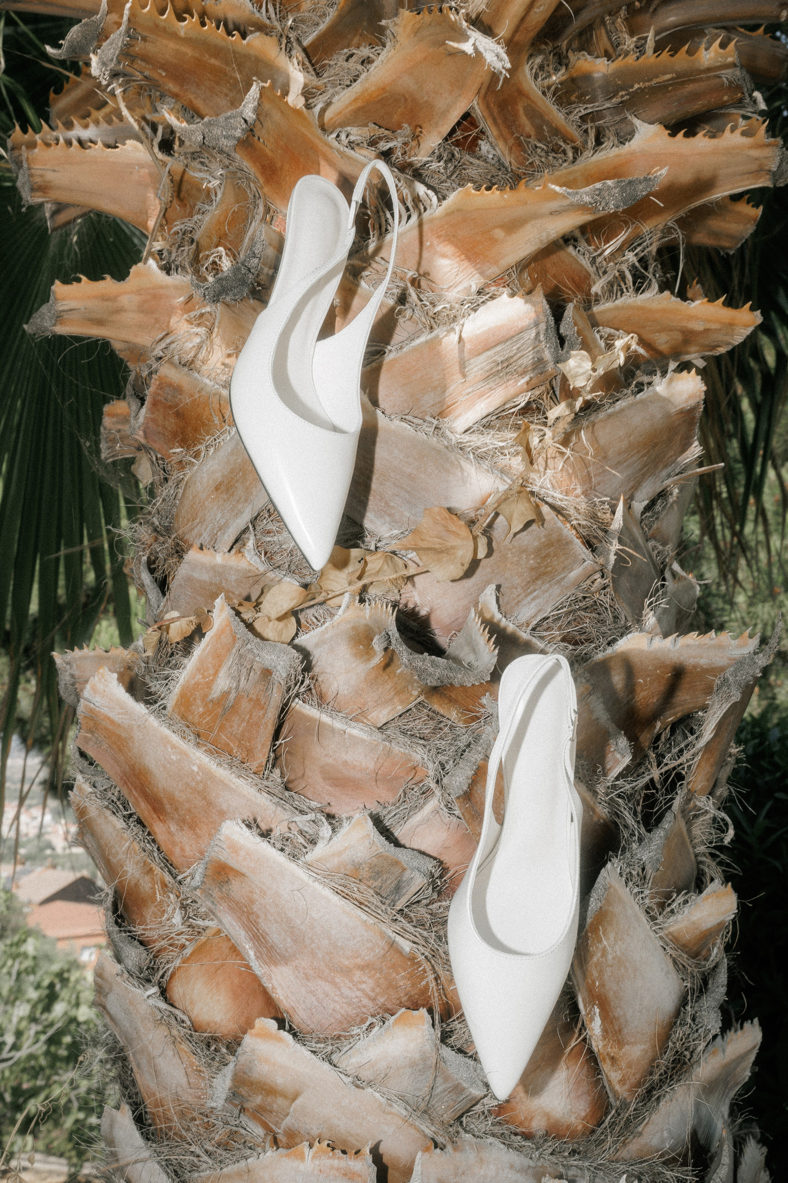 Paola wedding photographer / videographer in Barcelona