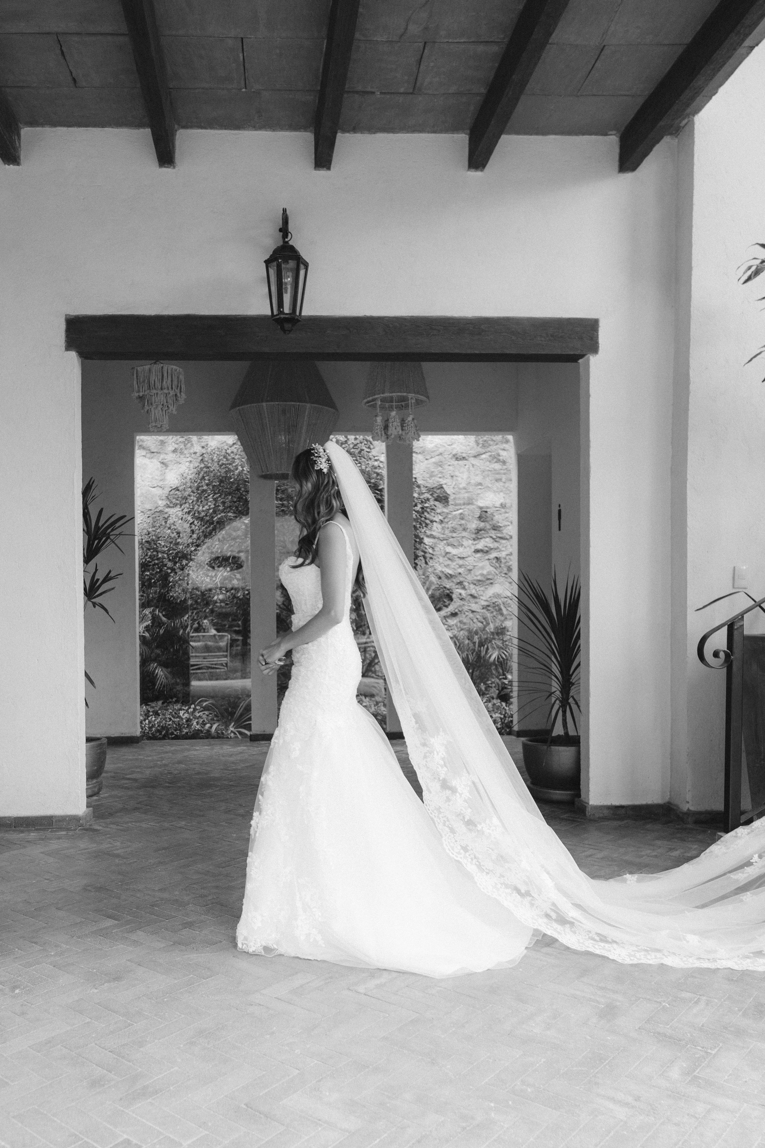 Wedding America y Alex