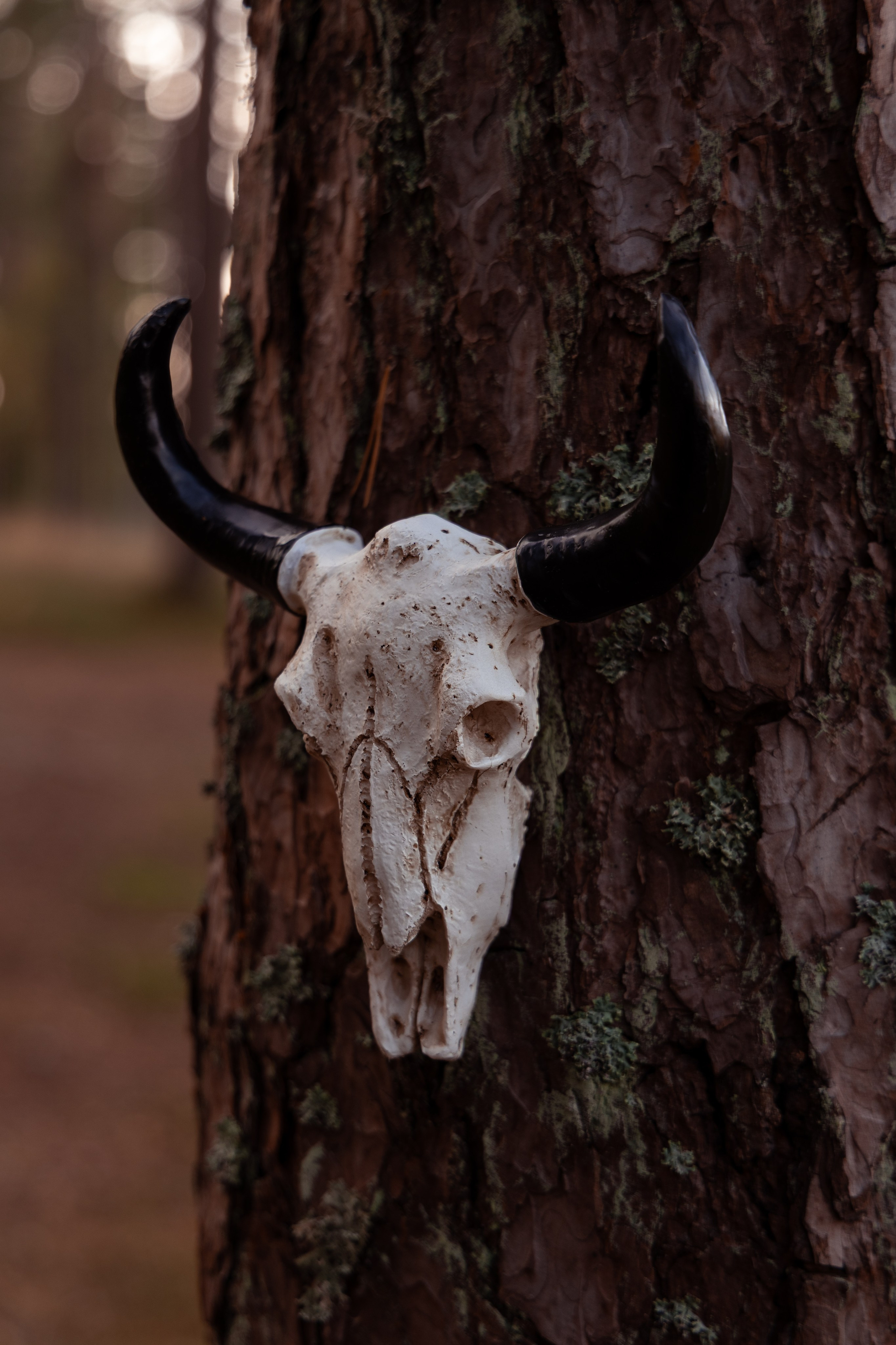 S&R. Jūsu fotogrāfs - Iveta Marčenoka