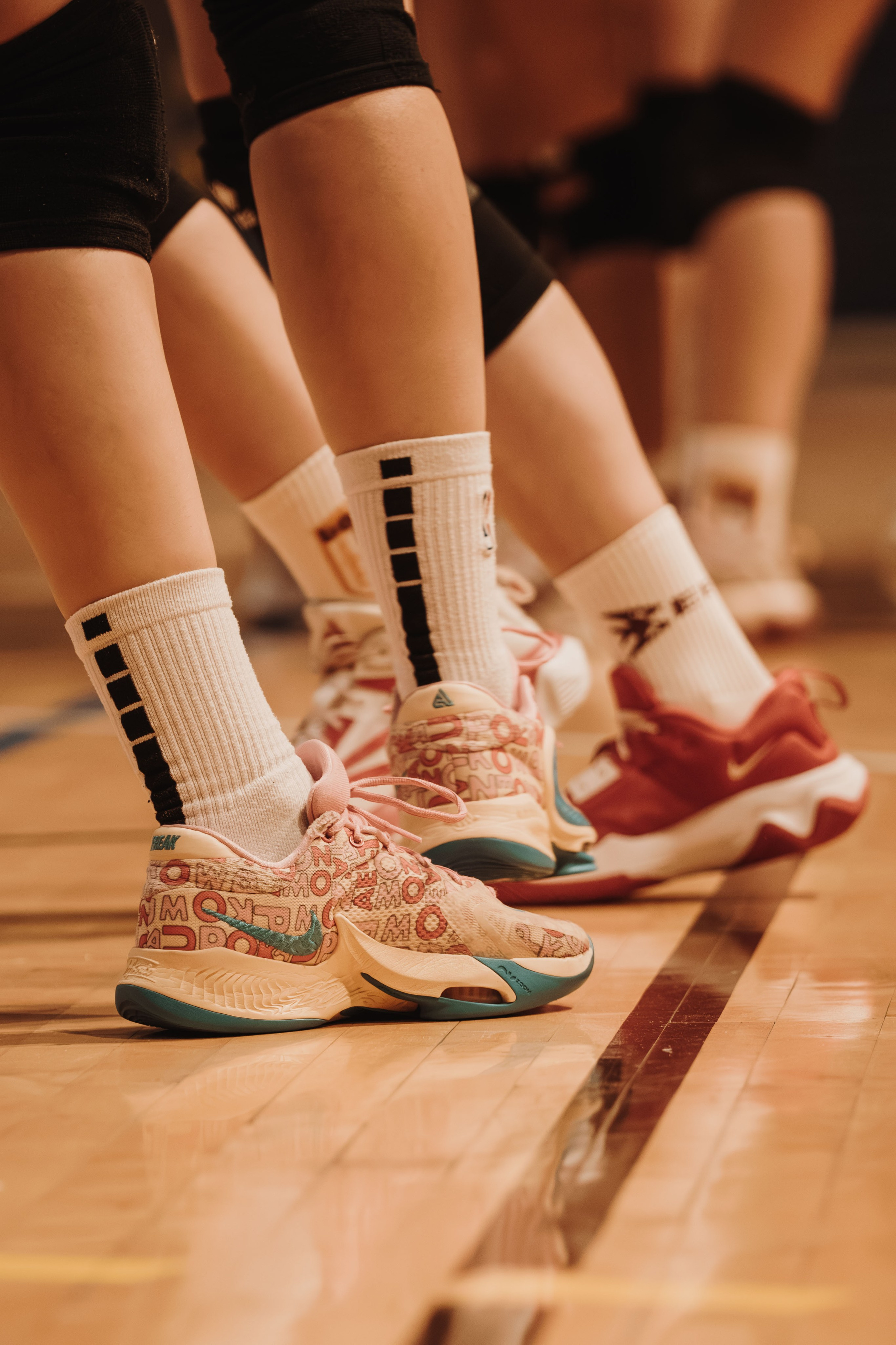 ŽOK Bosna — 2025/2026