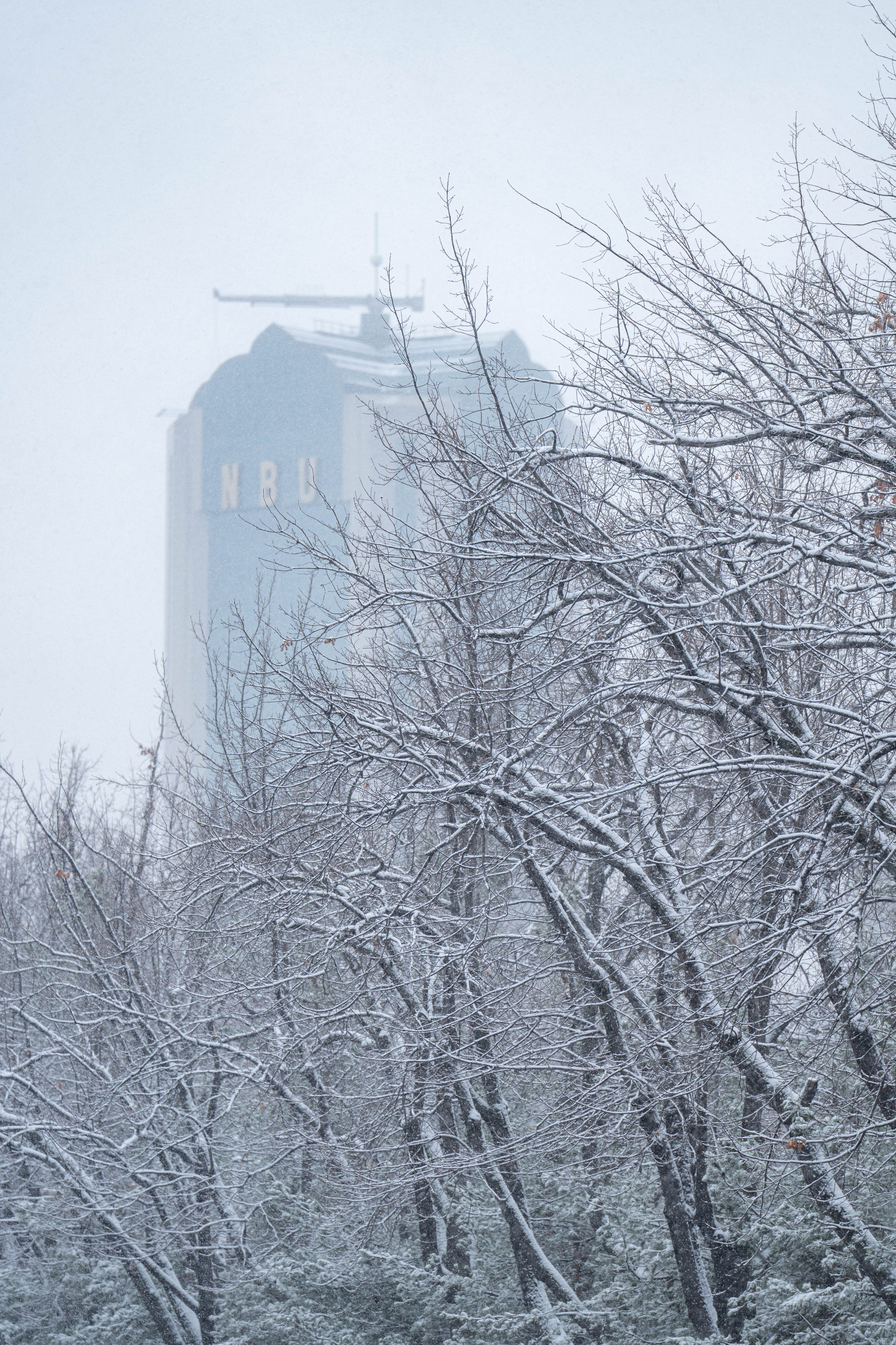 Первый снег в 2024 году. Георгий Намазов | Фотограф в Ташкенте