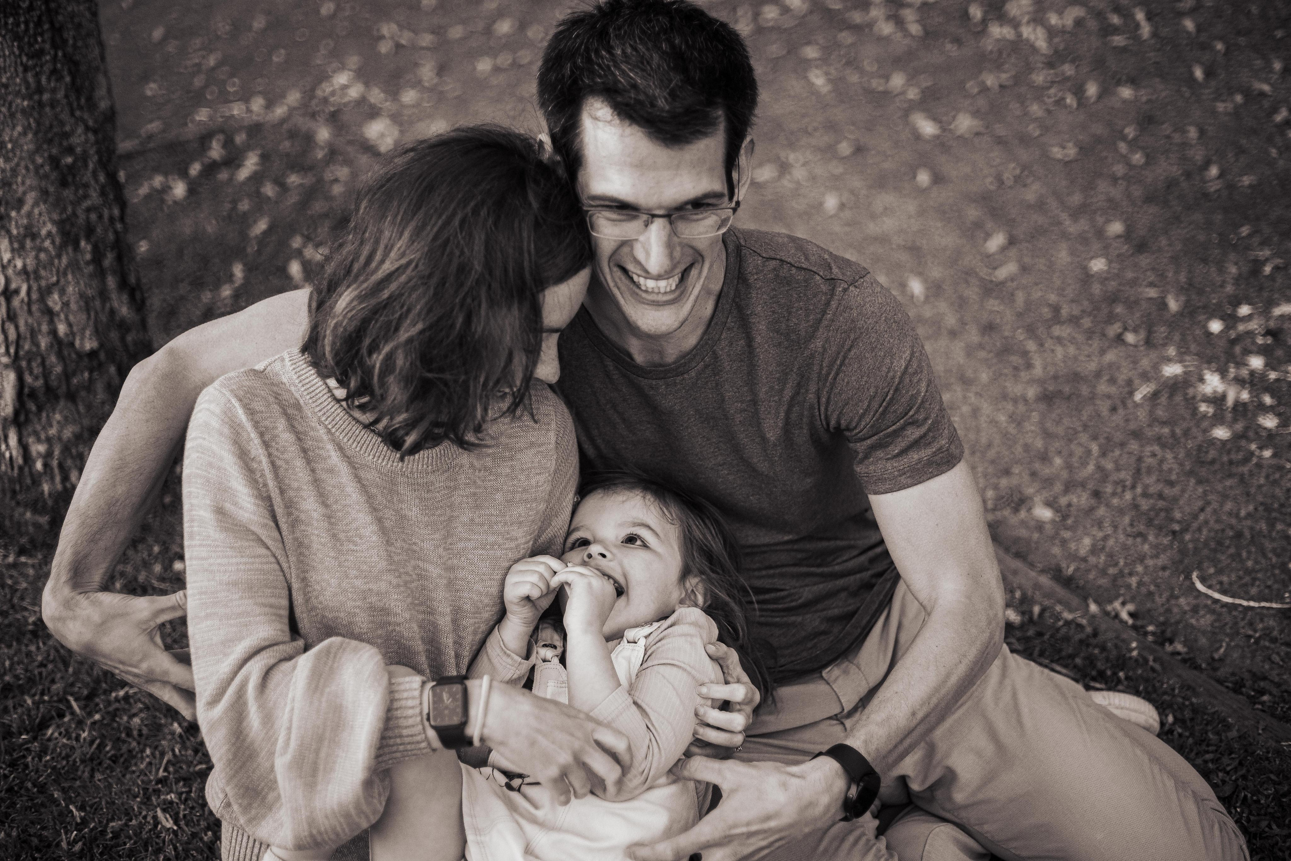 Jacarranda Blooming. True Story Photography