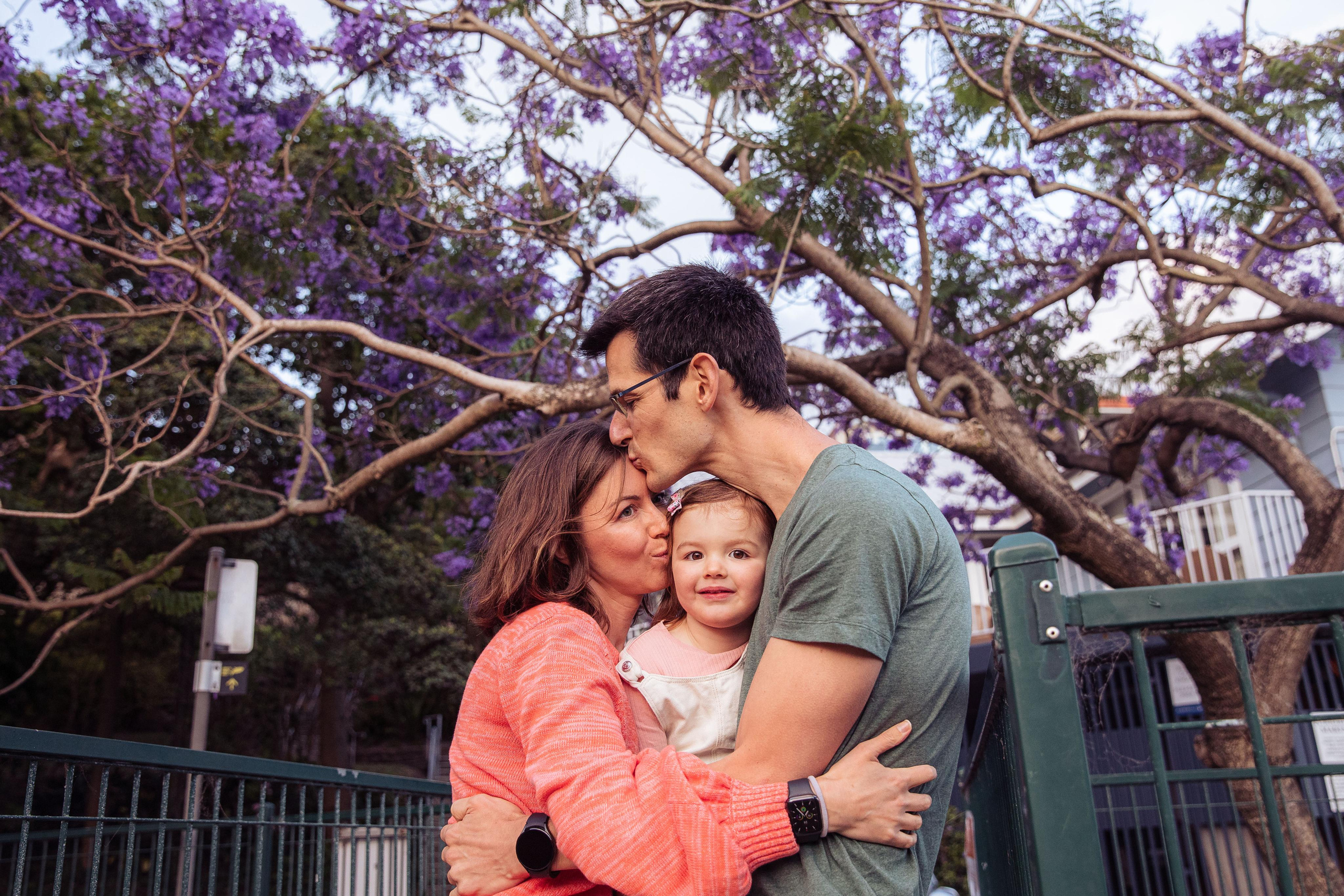 Jacarranda Blooming. True Story Photography