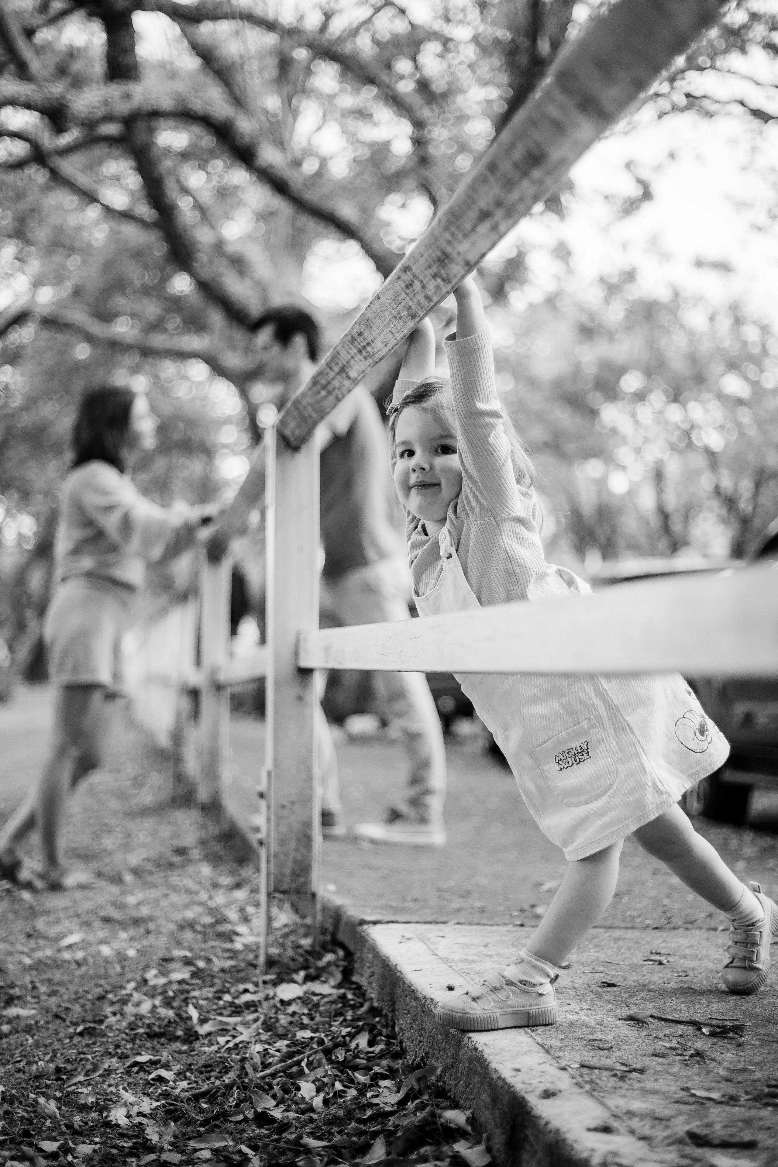 Jacarranda Blooming. True Story Photography