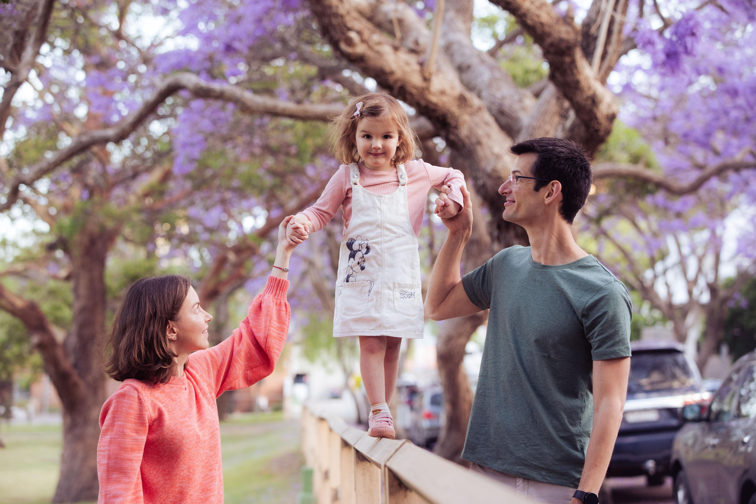 Jacarranda Blooming. True Story Photography