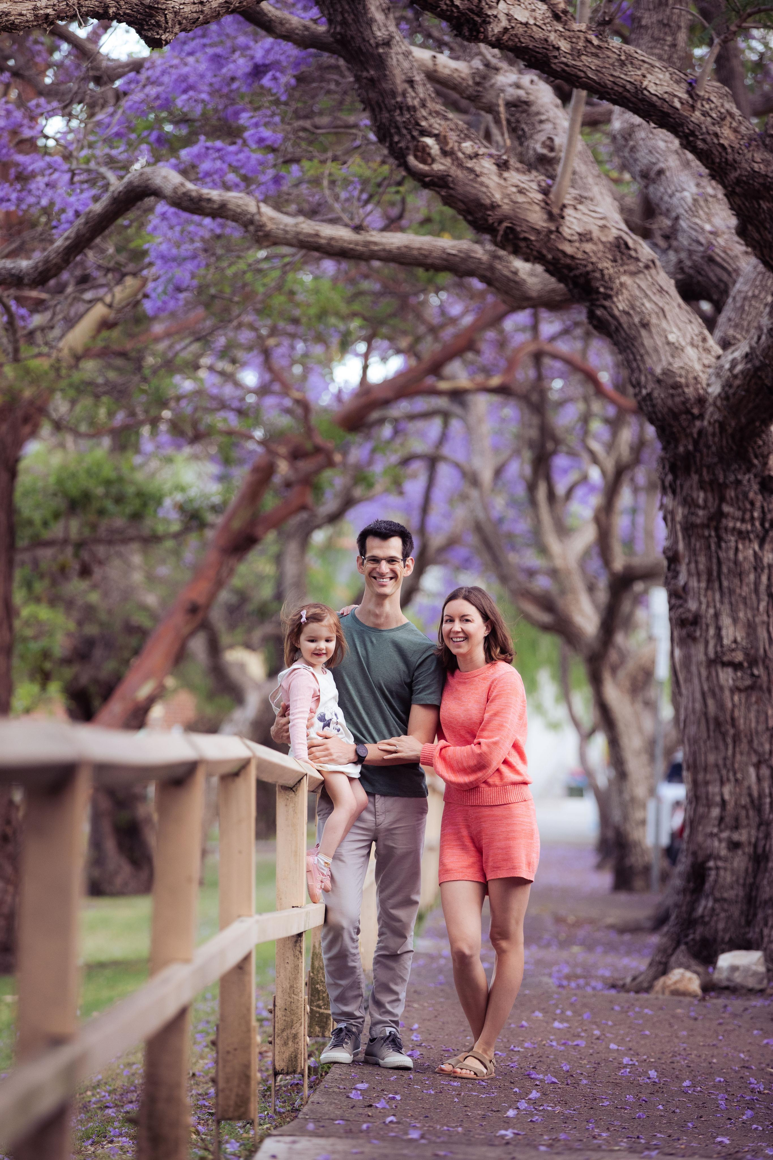 Jacarranda Blooming. True Story Photography