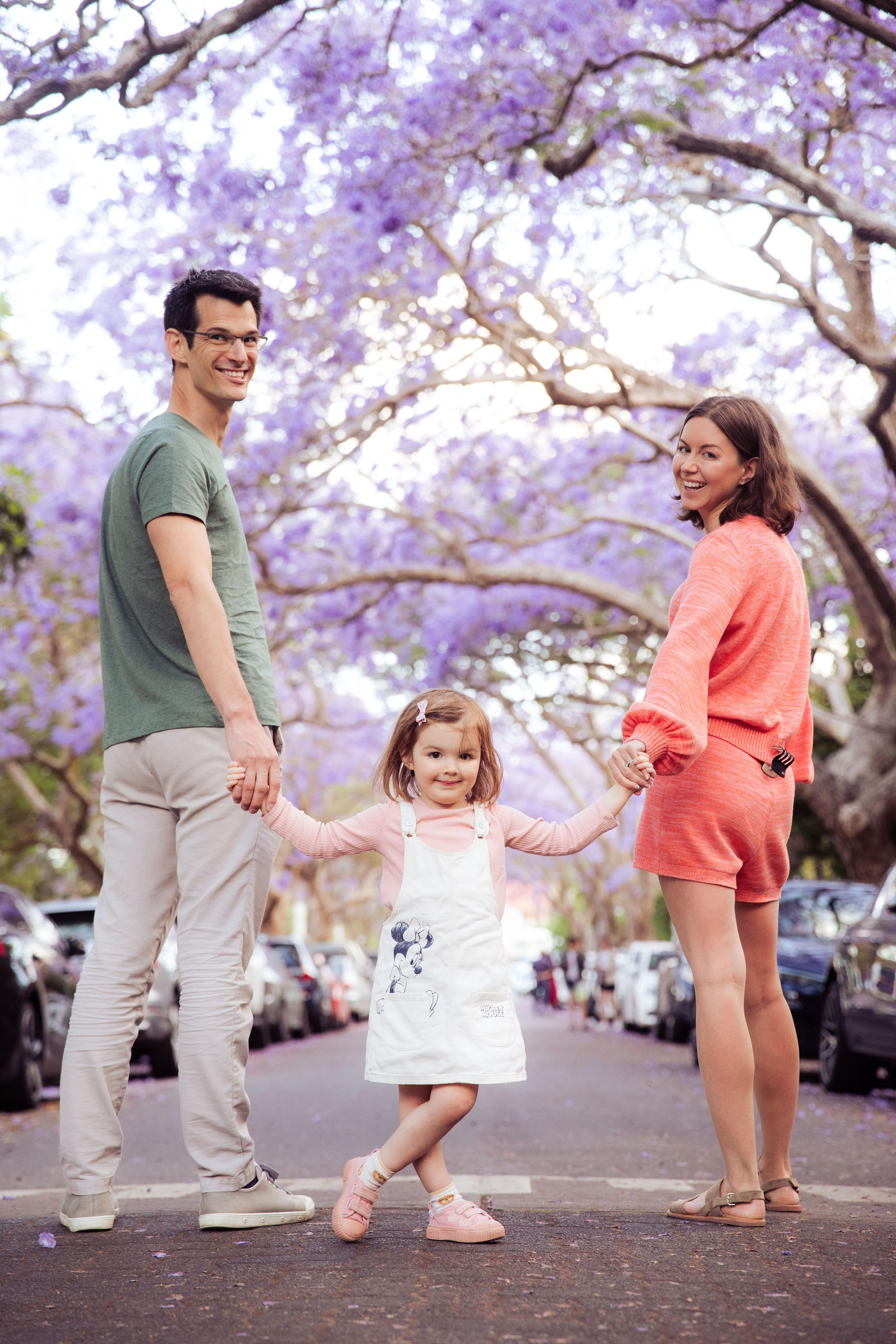 Jacarranda Blooming. True Story Photography