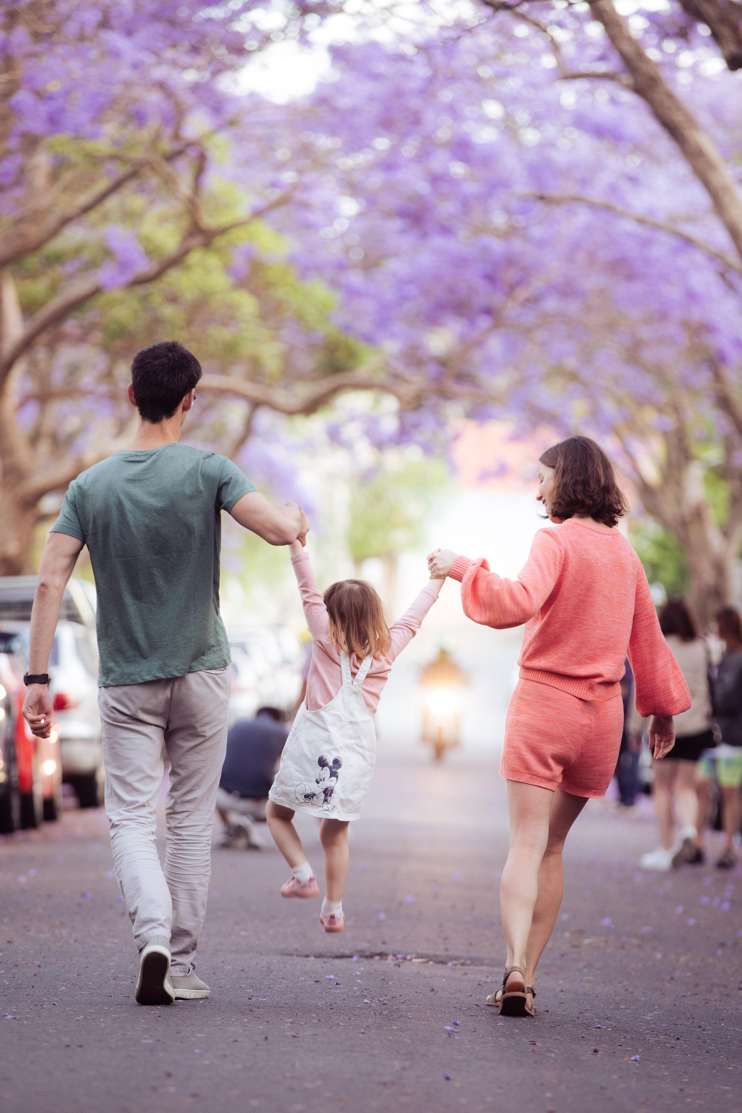 Jacarranda Blooming. True Story Photography