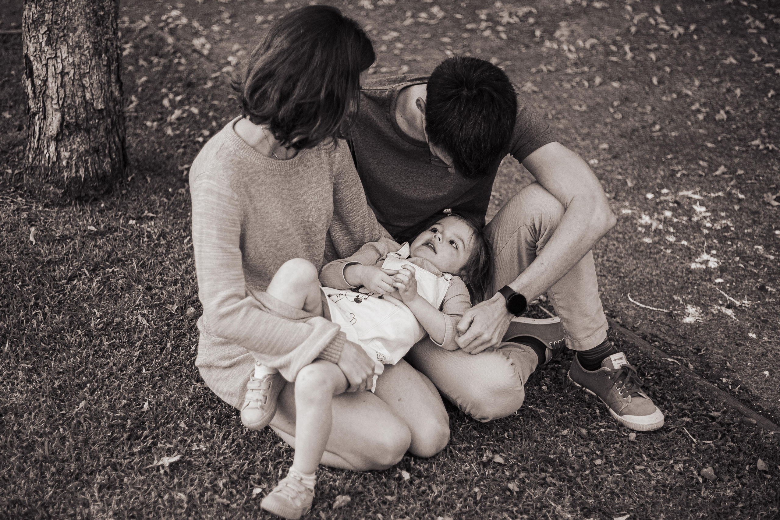 Jacarranda Blooming. True Story Photography