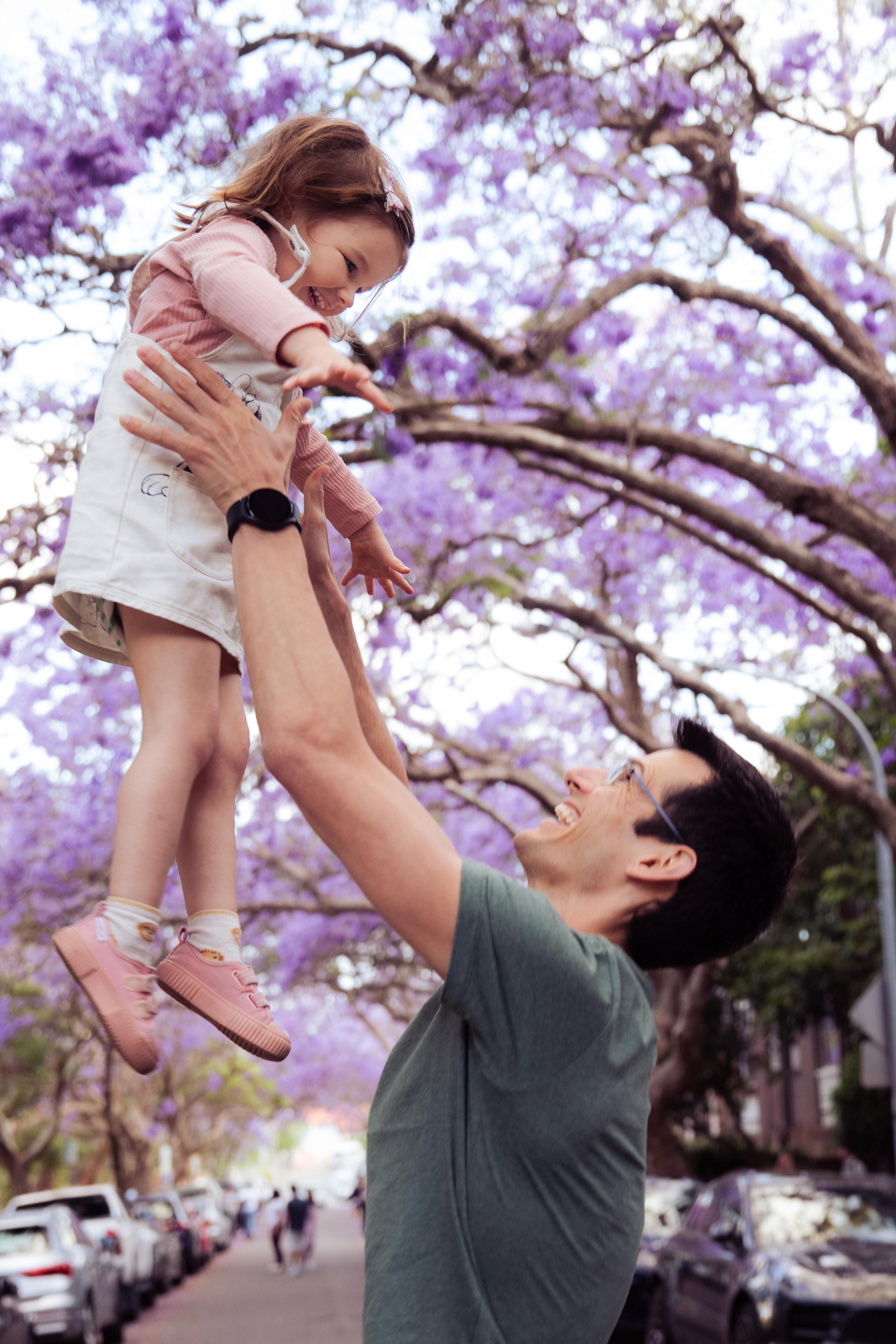 Jacarranda Blooming. True Story Photography