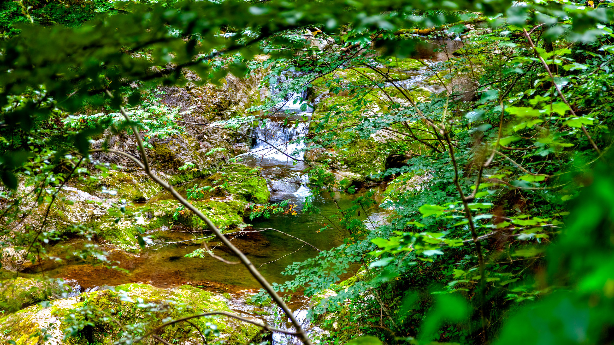 197.Ötscher Base Nature Park.Austria.21.8.2025. Путешествия в формате 360......