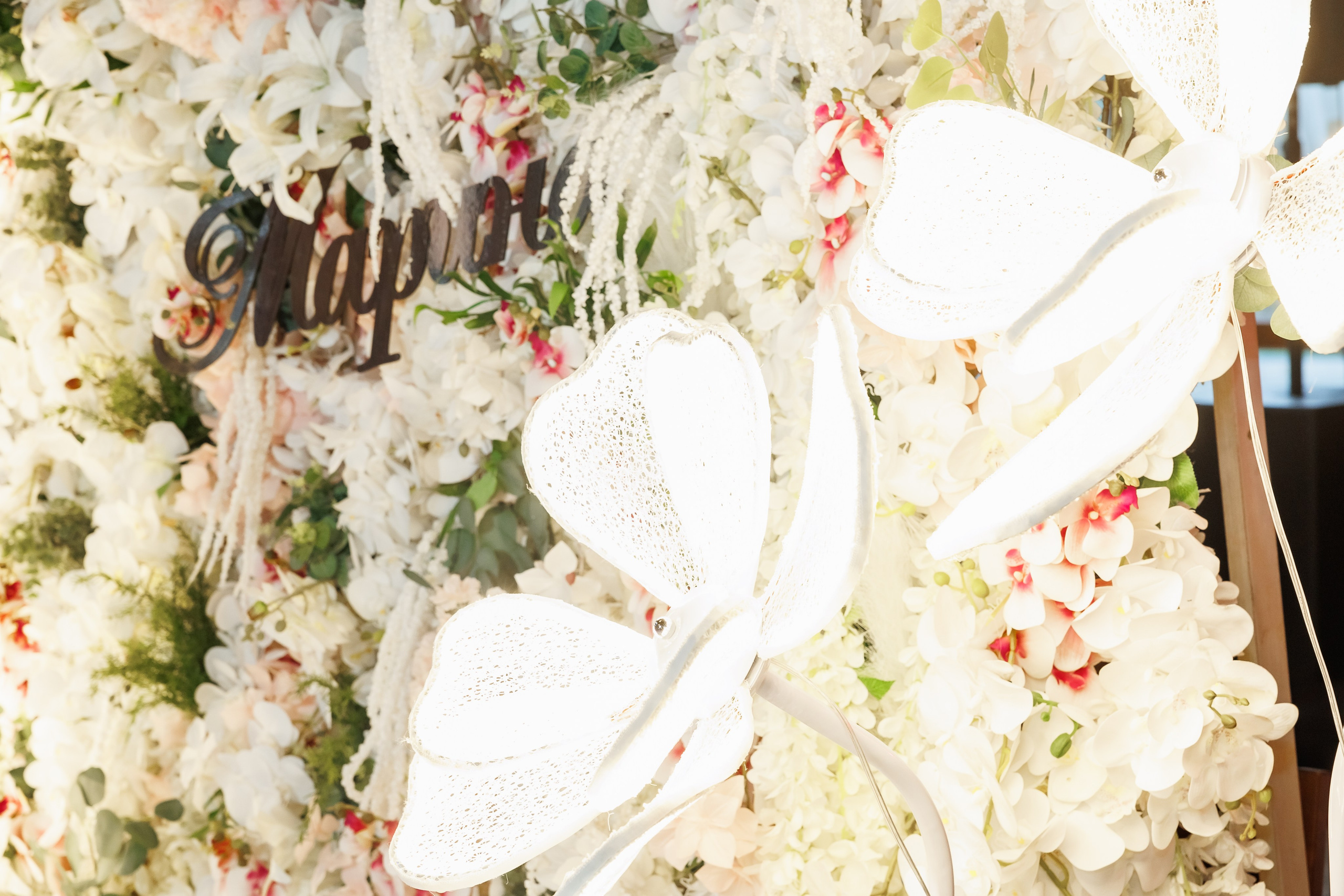 Честит Рожден Ден. Фотограф Ирина Йотова