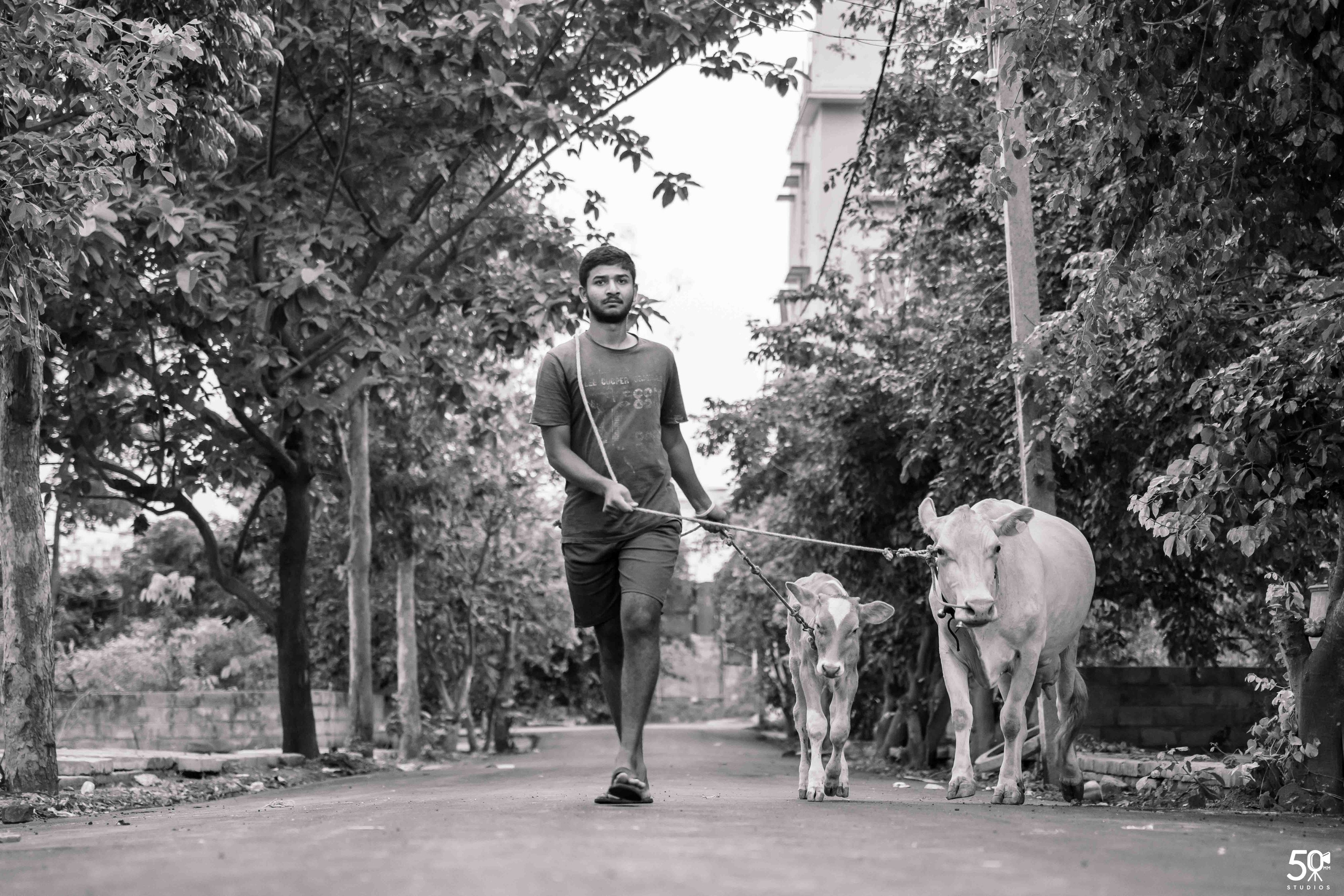 DWARAKADEESHA GRUHAPRAVESHA. 50mm STUDIOS