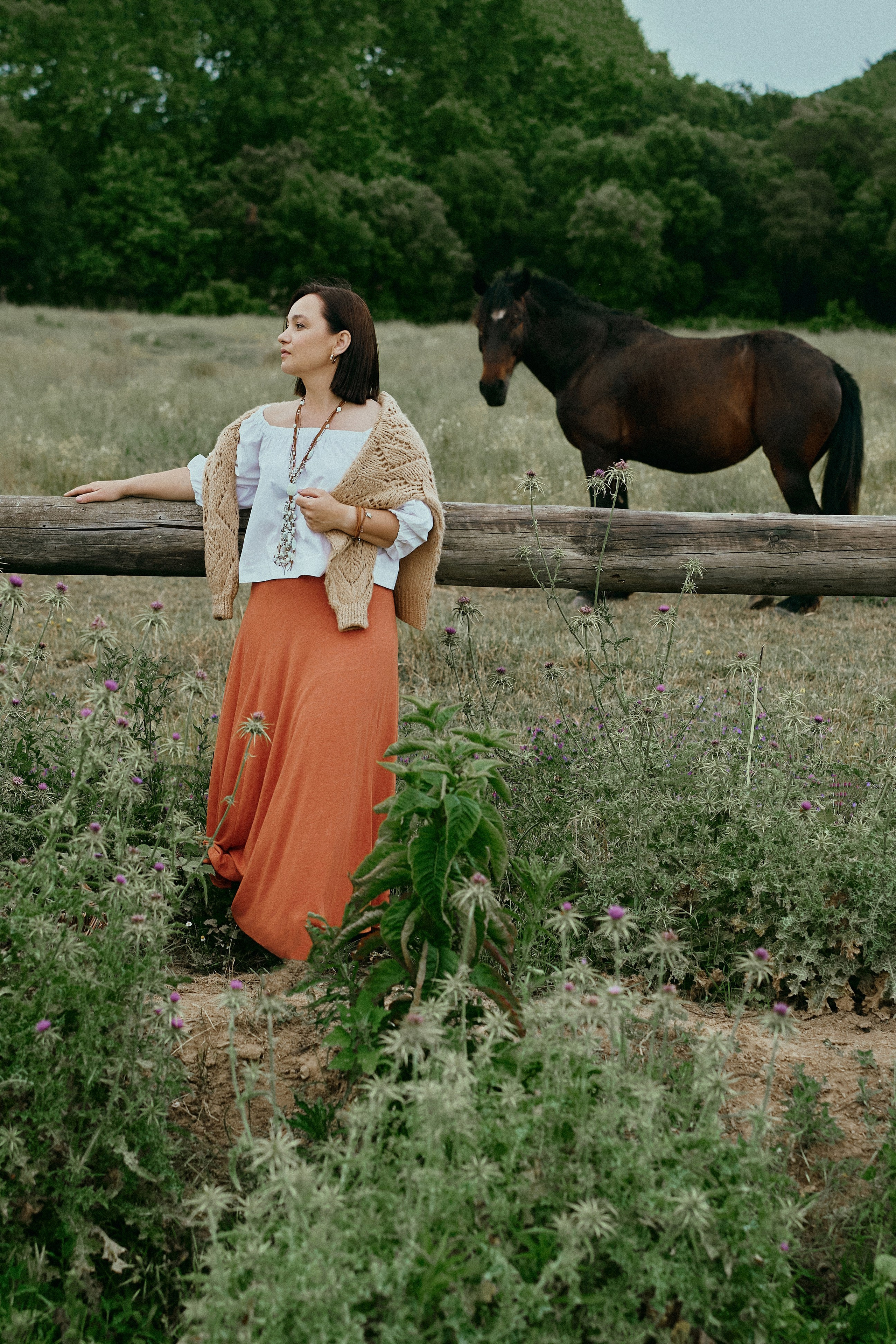 Летний день с лошадьми. Fotógrafa en España Zhanna Zakharchenko