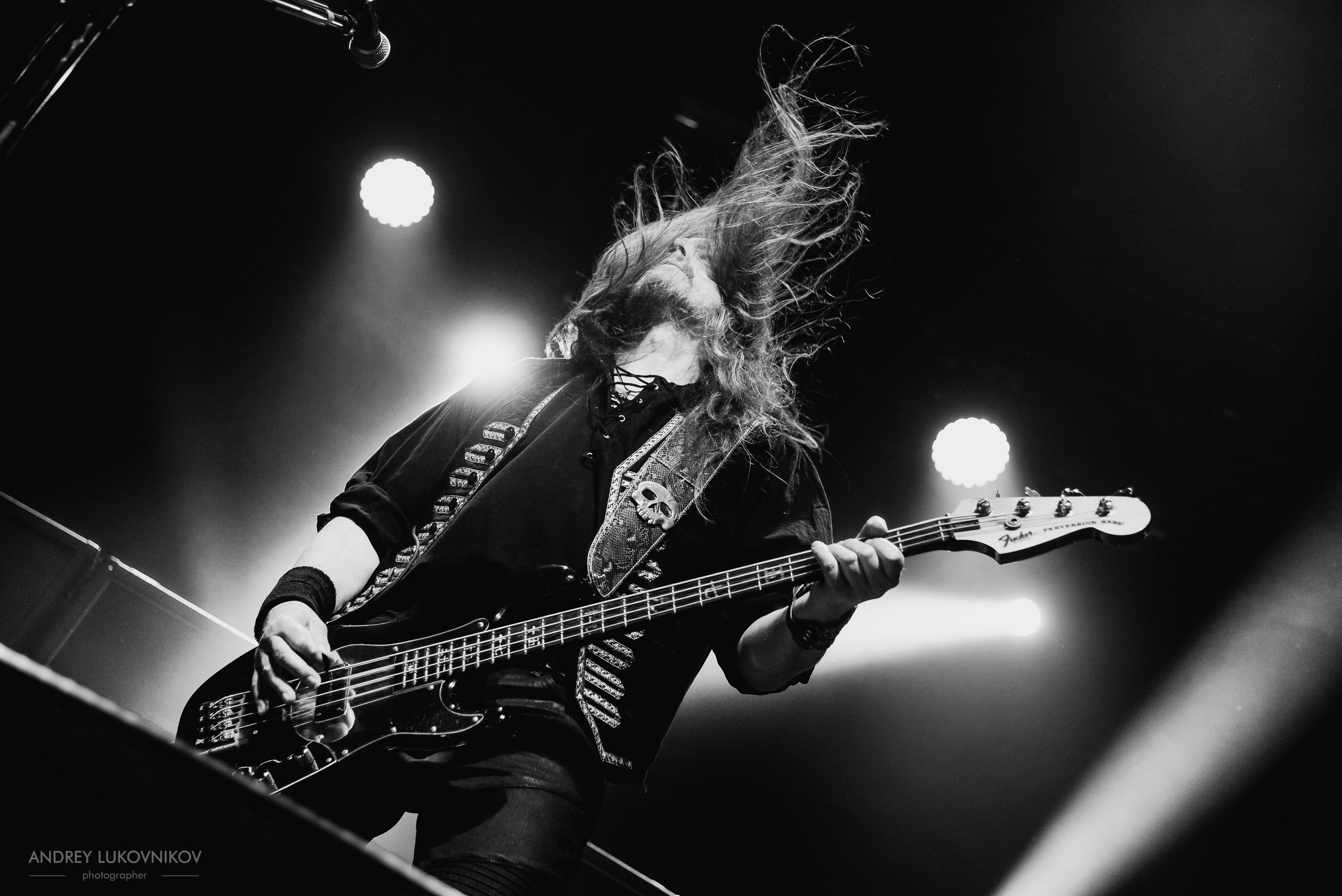 Running Wild. Rapid Foray Tour 2017