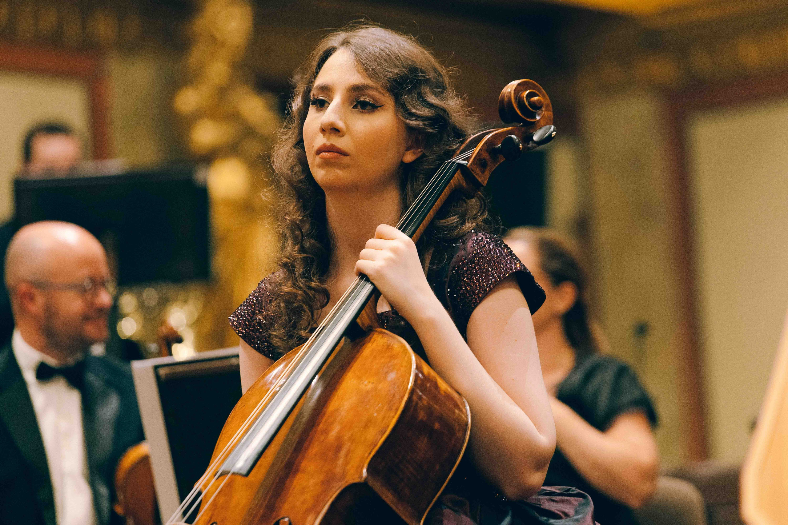 MUSIKVEREIN (VIENNA). Wedding&Event photographer Ismail Rzayev in Baku