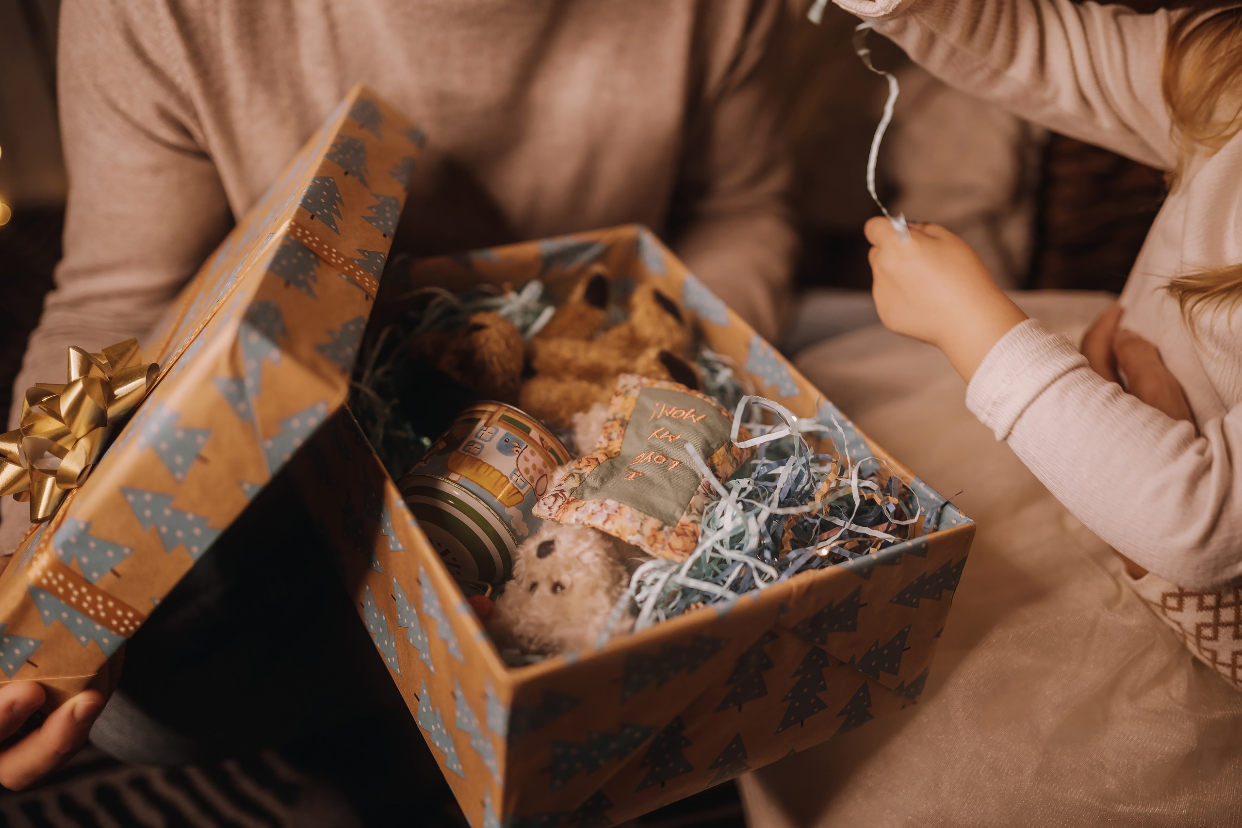 25.11.2023 Christmas Photoshoot. Wedding family event photographer in Chicago Nick Yushevich