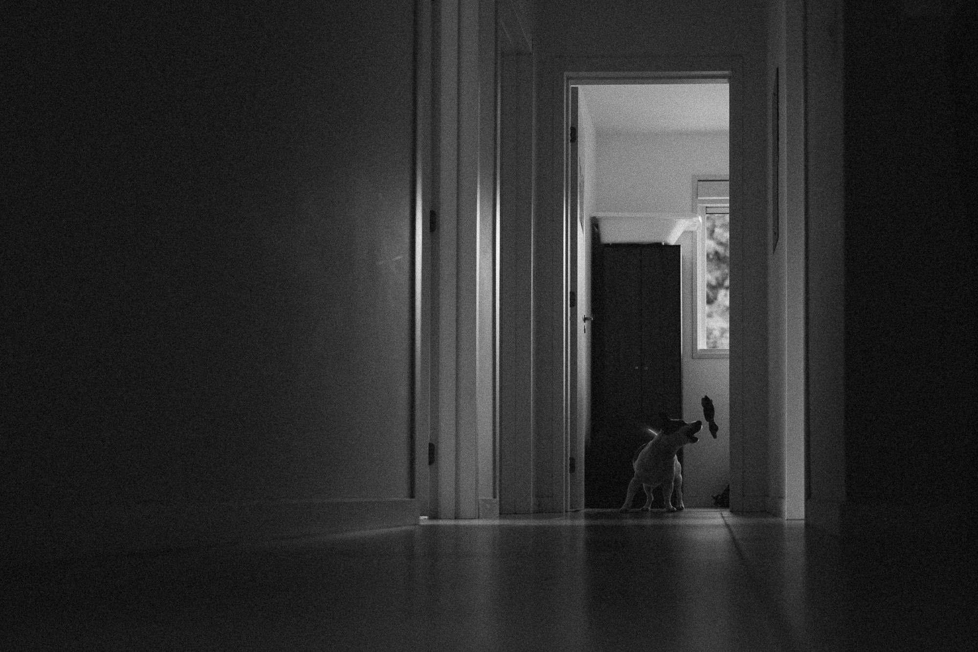 Sinceridade a nova moda. Fotografa de família e crianças em Florianópolis SC Daria Ermolaev