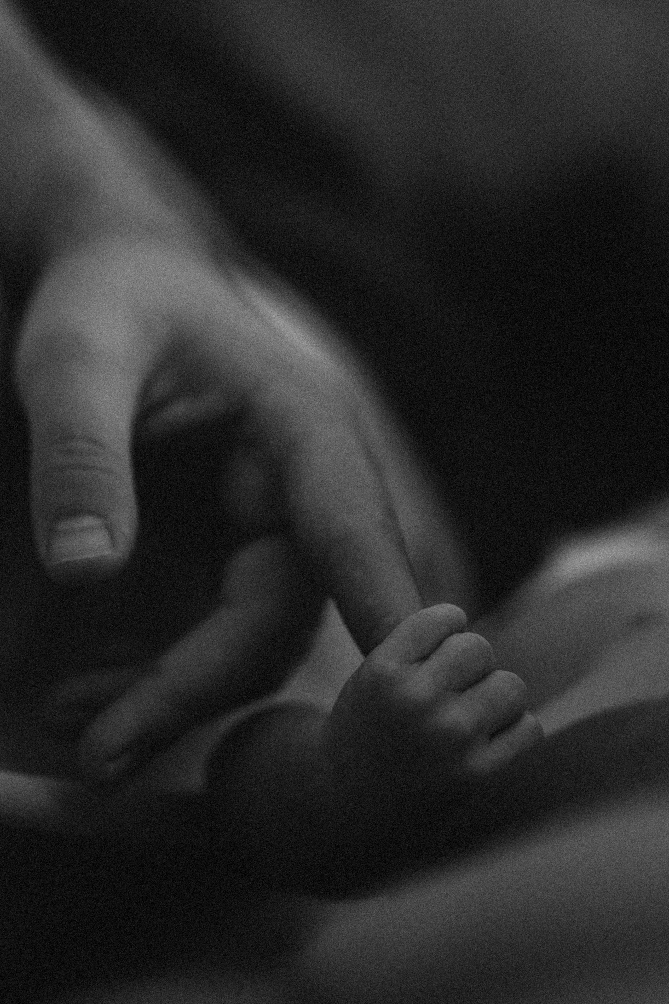 Adrien’s LifeStyle Newborn. Fotografa de família e crianças em Florianópolis SC Daria Ermolaev