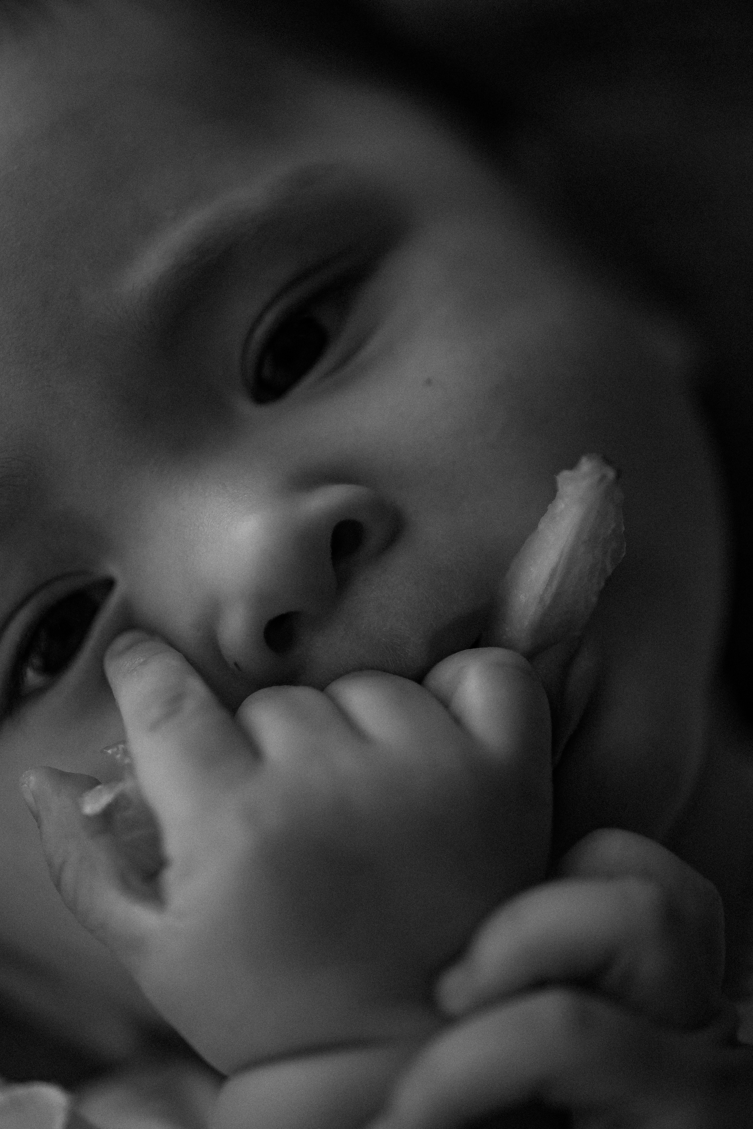 Tatiana Ivan Sofi 6,5 meses. Fotografa de família e crianças em Florianópolis SC Daria Ermolaev