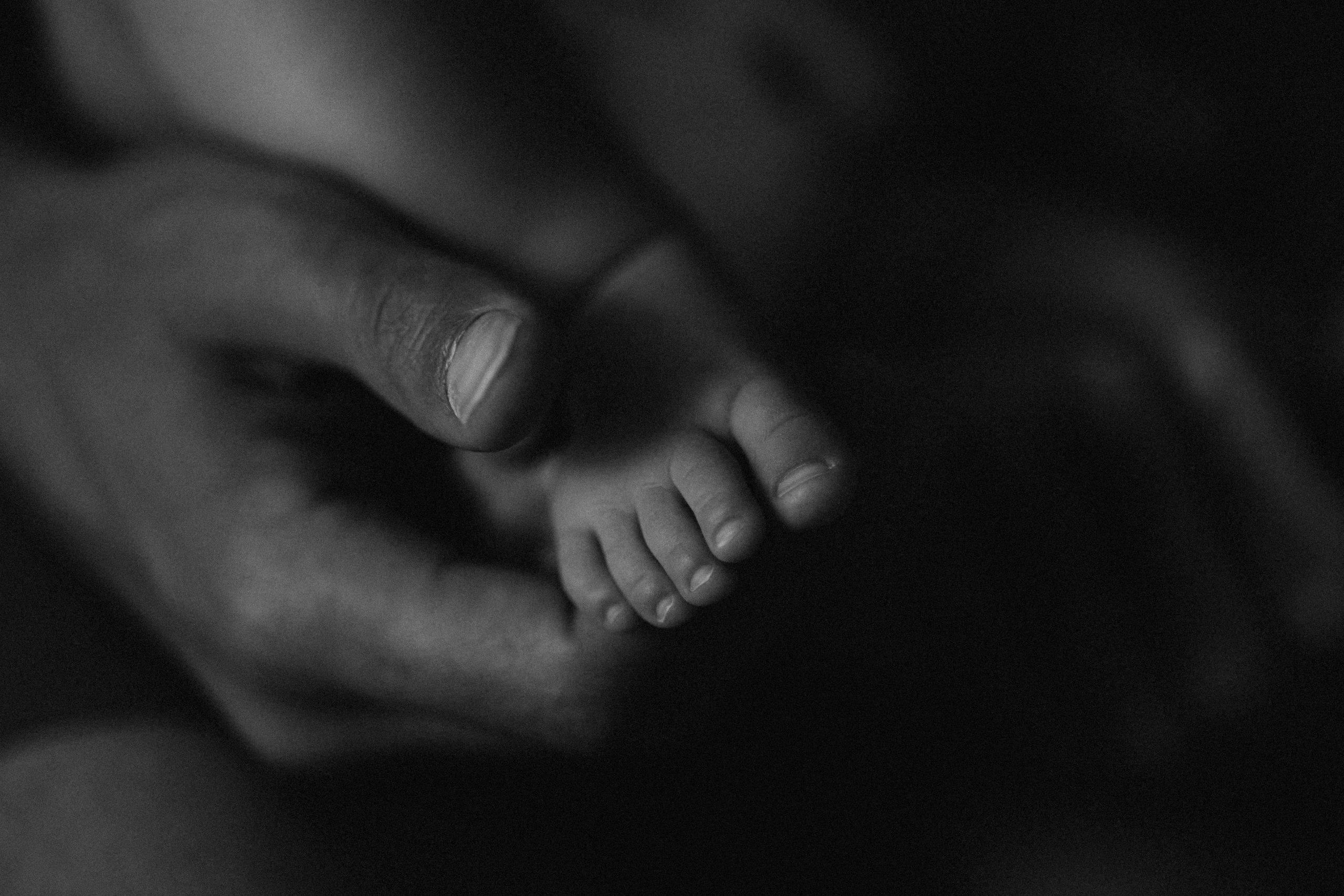 One Family Day. Fotografa de família e crianças em Florianópolis SC Daria Ermolaev