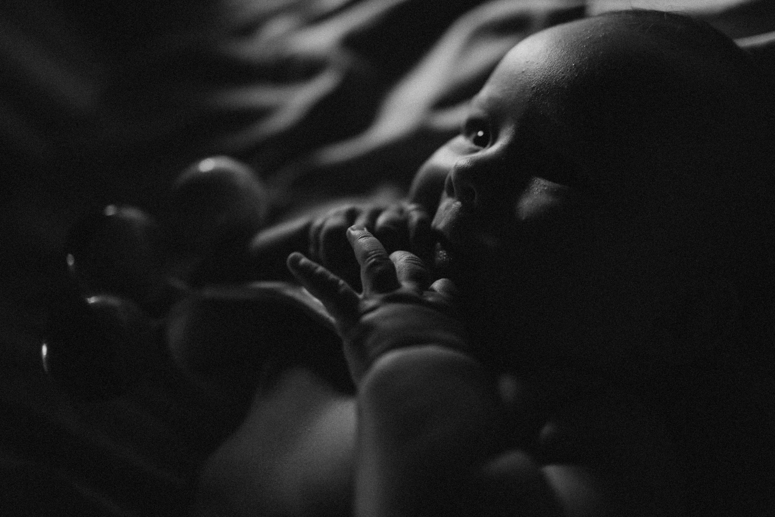 The Story of Flora. Fotografa de família e crianças em Florianópolis SC Daria Ermolaev