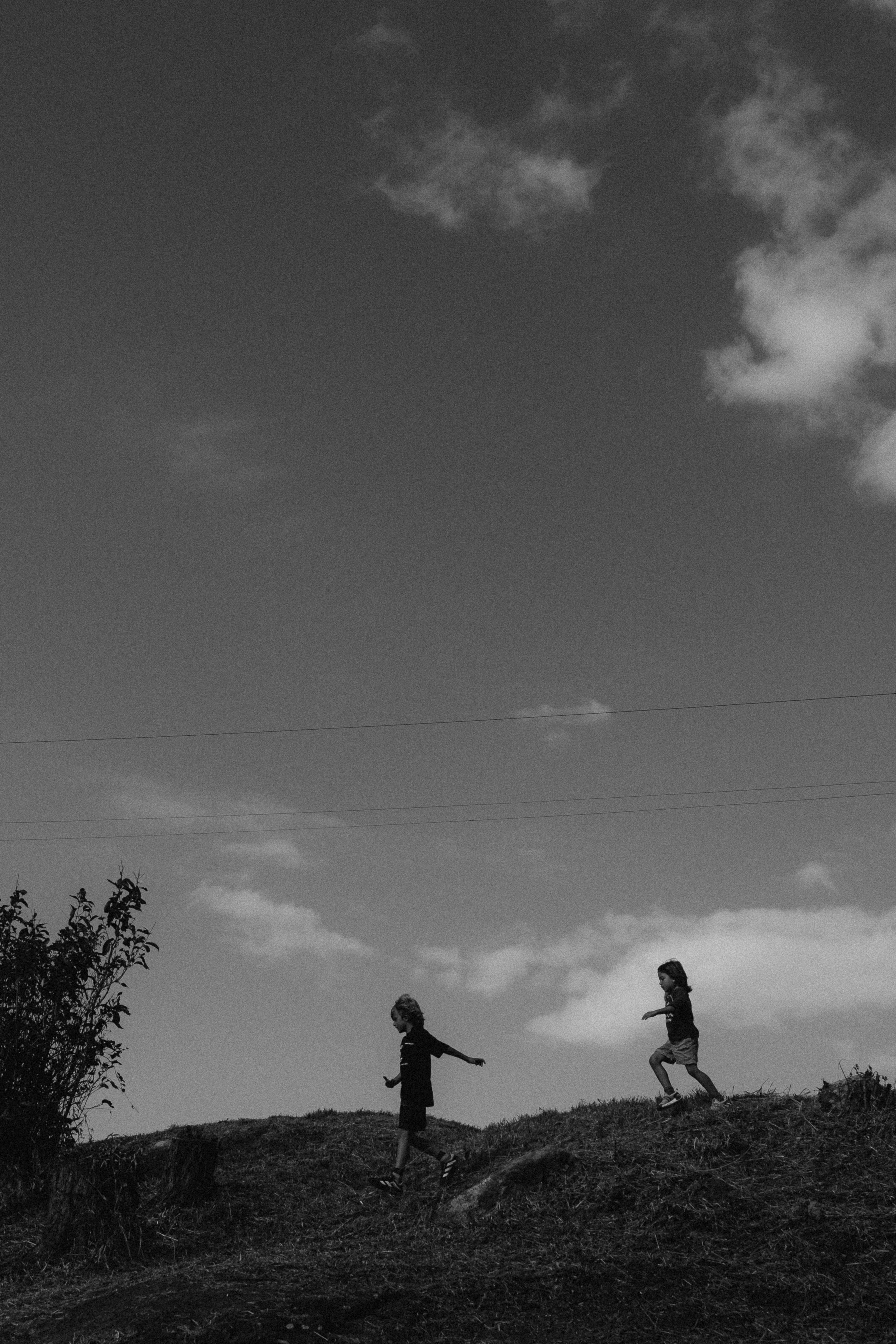 One Family Day. Fotografa de família e crianças em Florianópolis SC Daria Ermolaev