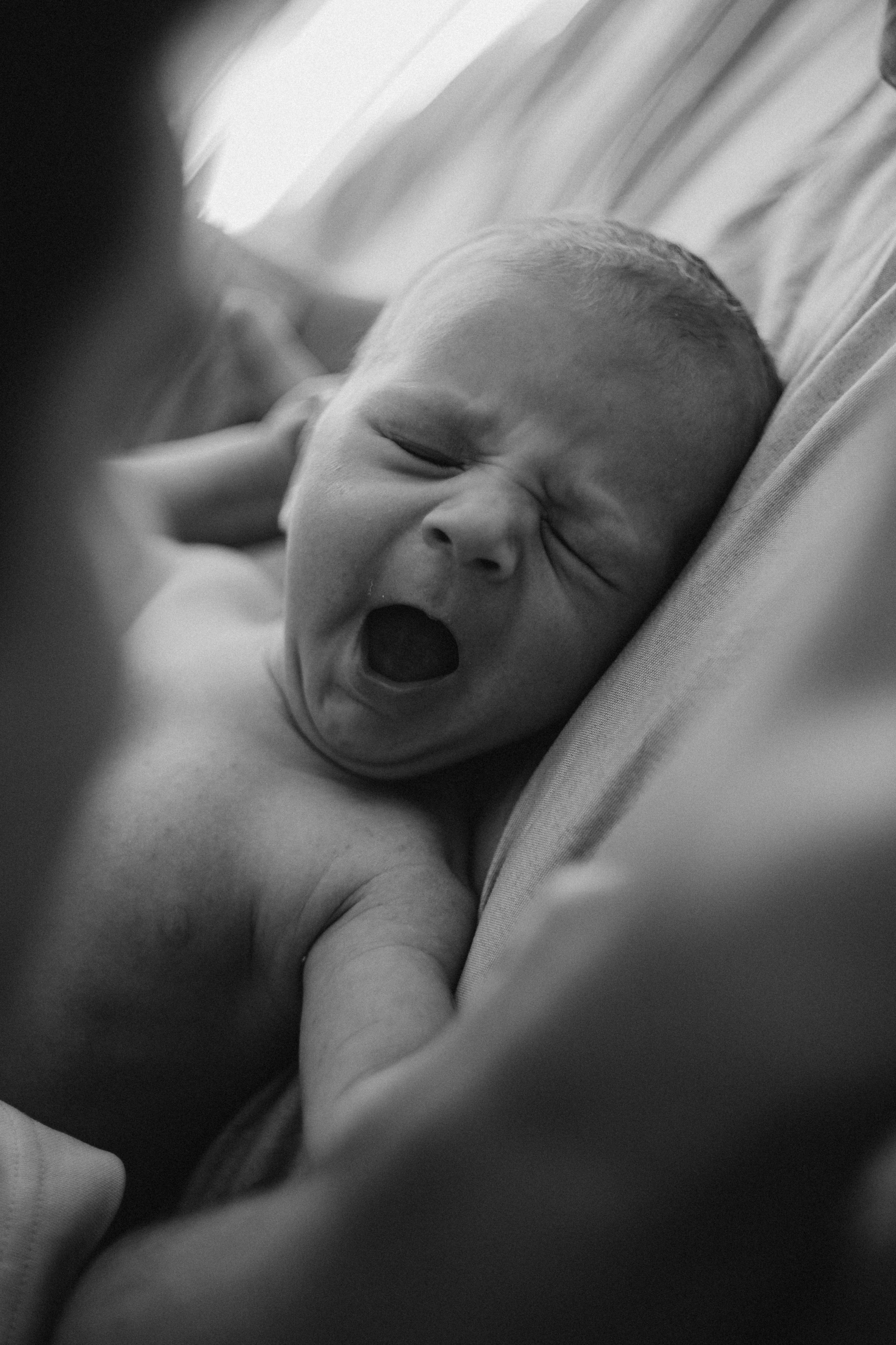 Adrien’s LifeStyle Newborn. Fotografa de família e crianças em Florianópolis SC Daria Ermolaev