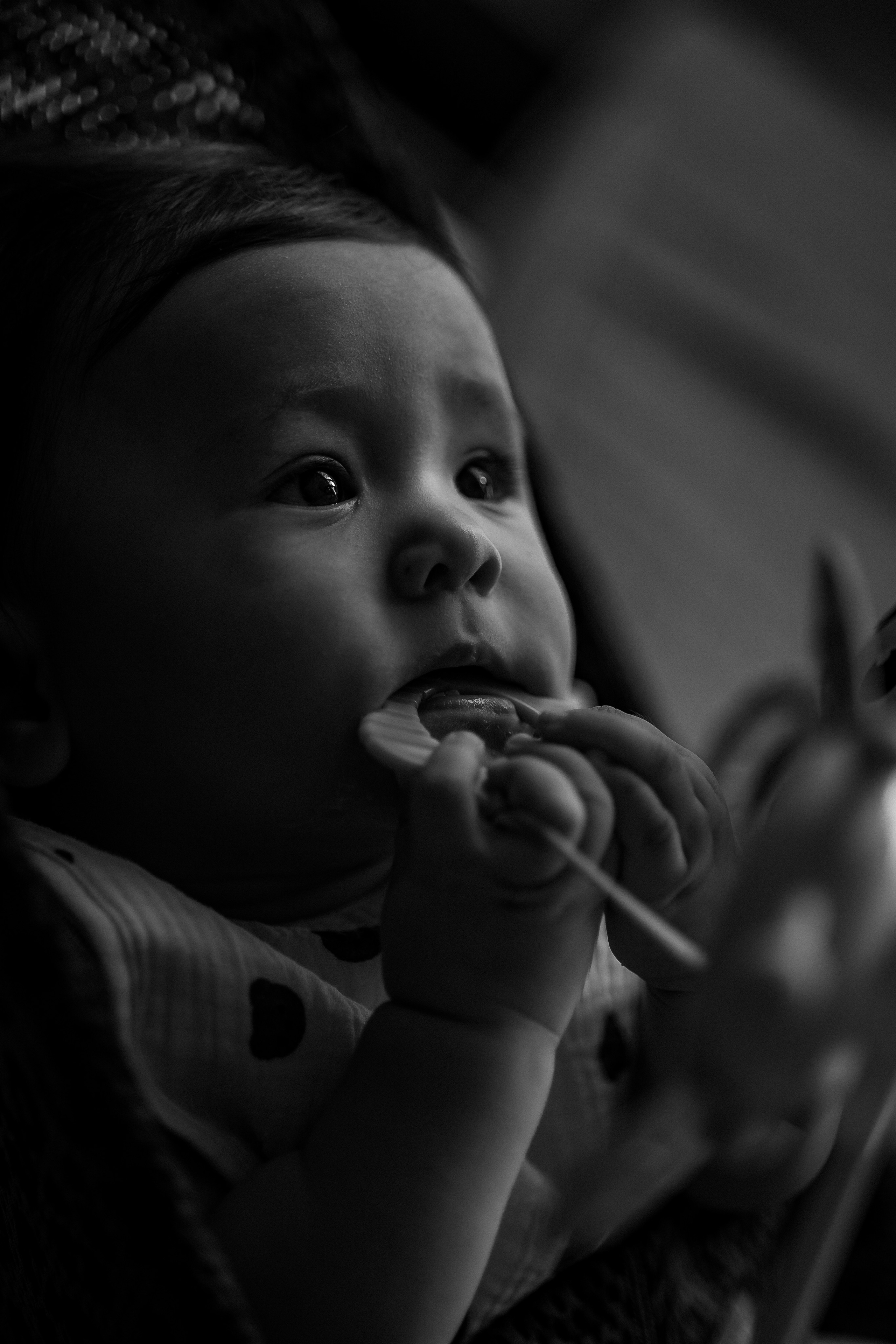 Tatiana Ivan Sofi 6,5 meses. Fotografa de família e crianças em Florianópolis SC Daria Ermolaev