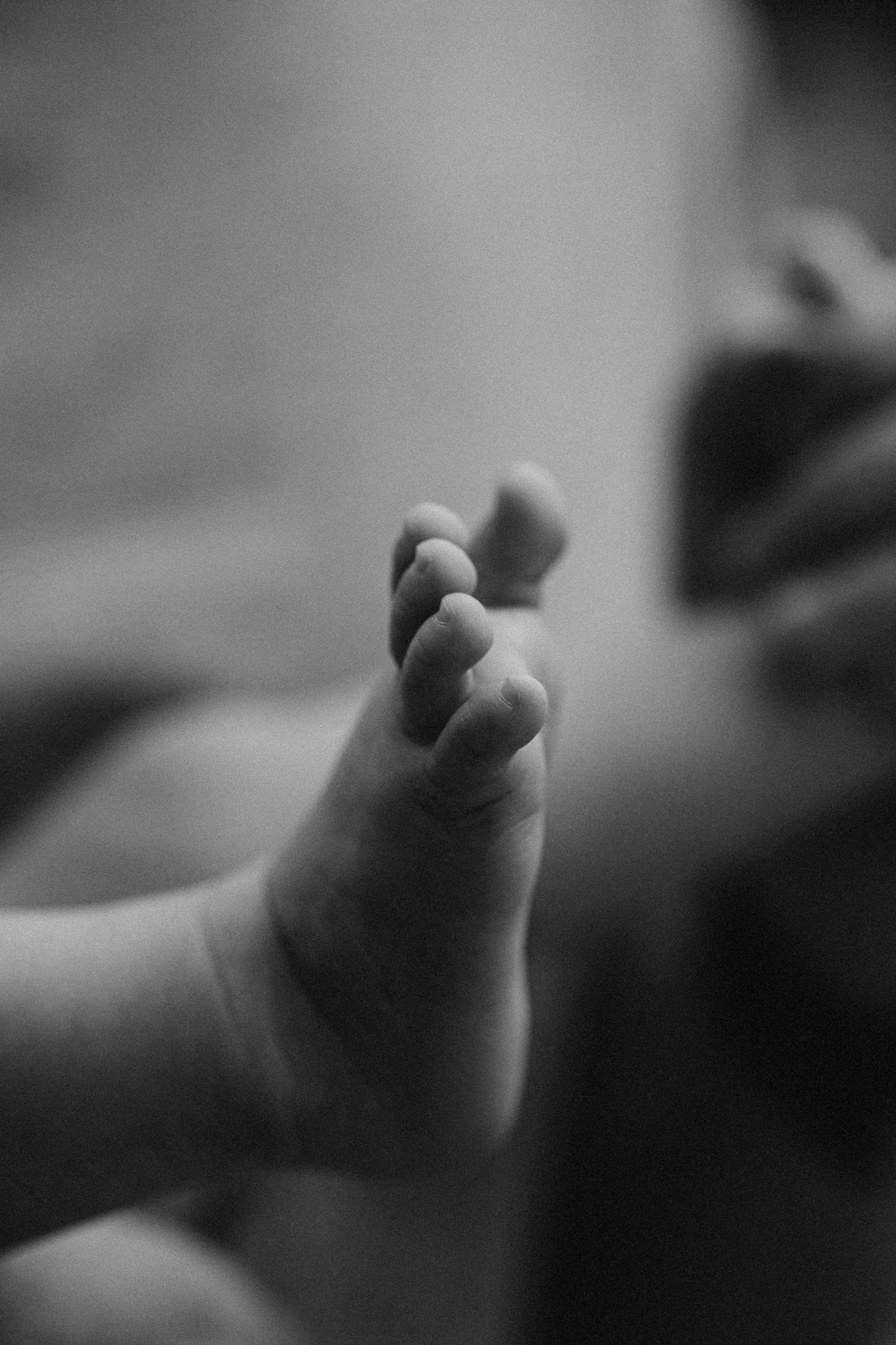 Kira’s 6 Month’s. Fotografa documental de familia e nascimento em Florianópolis SC Daria Ermolaev