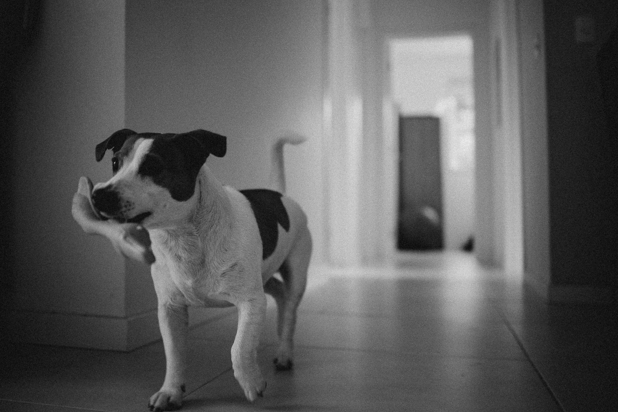 Sinceridade a nova moda. Fotografa de família e crianças em Florianópolis SC Daria Ermolaev