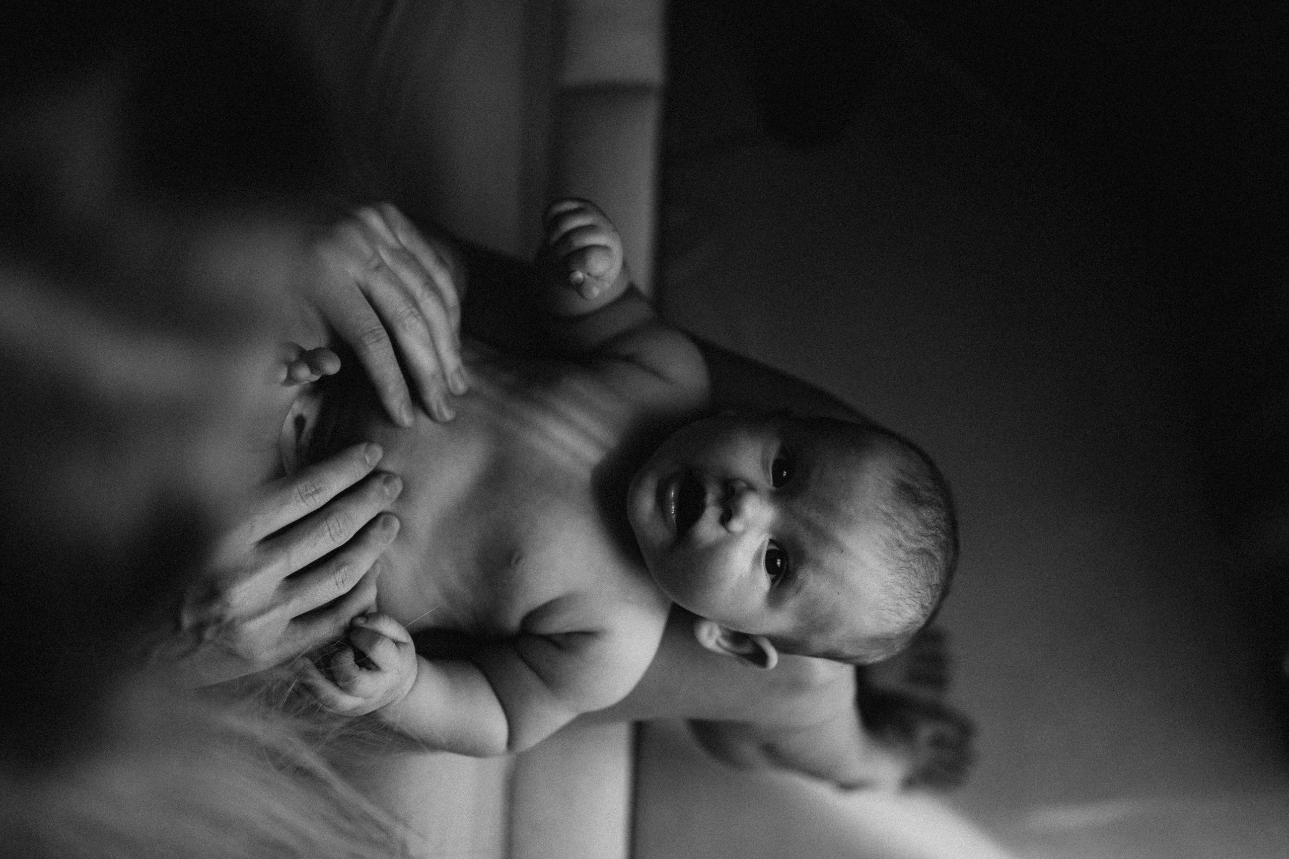 One Family Day. Fotografa de família e crianças em Florianópolis SC Daria Ermolaev