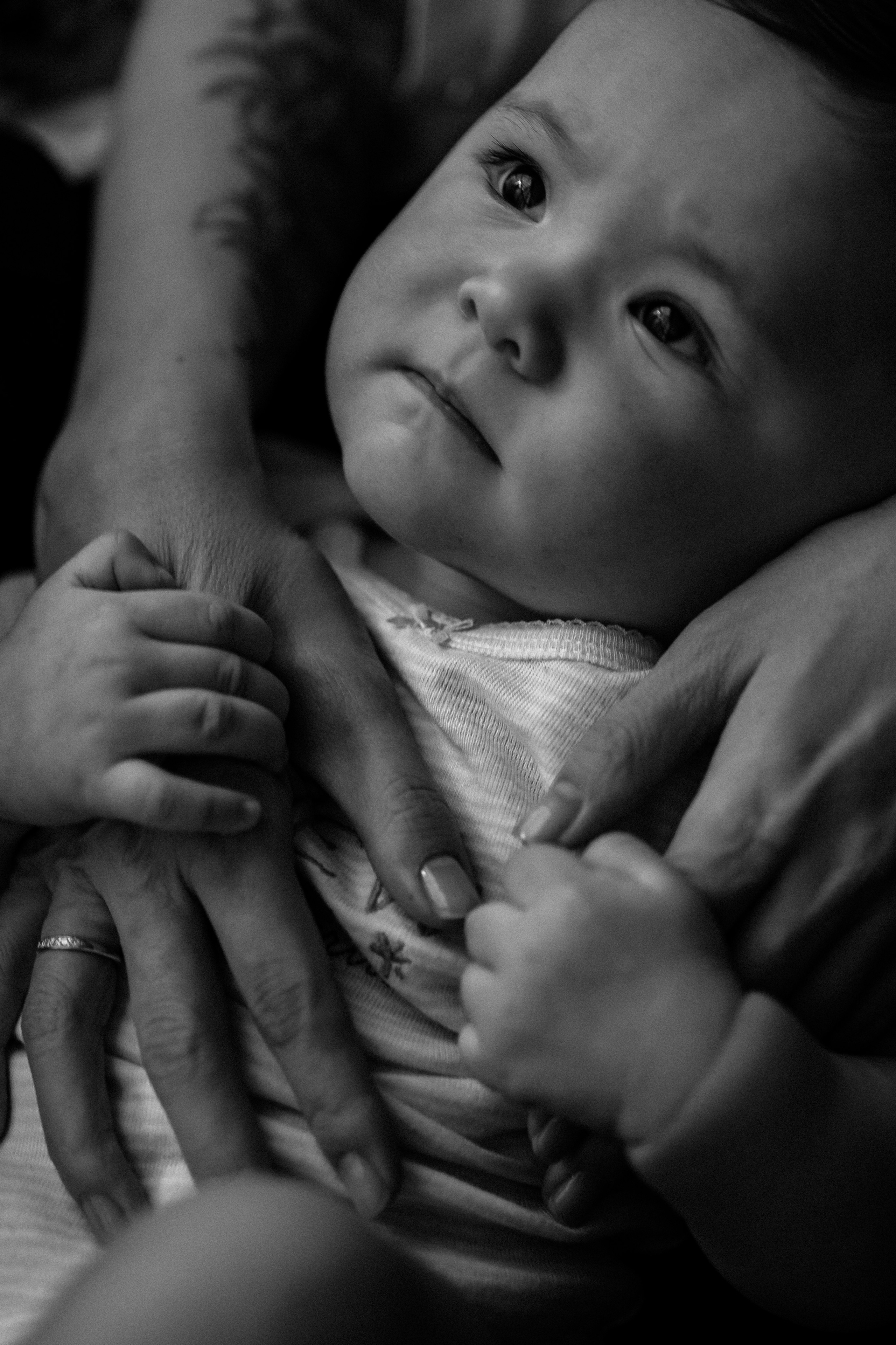 Tatiana Ivan Sofi 6,5 meses. Fotografa de família e crianças em Florianópolis SC Daria Ermolaev