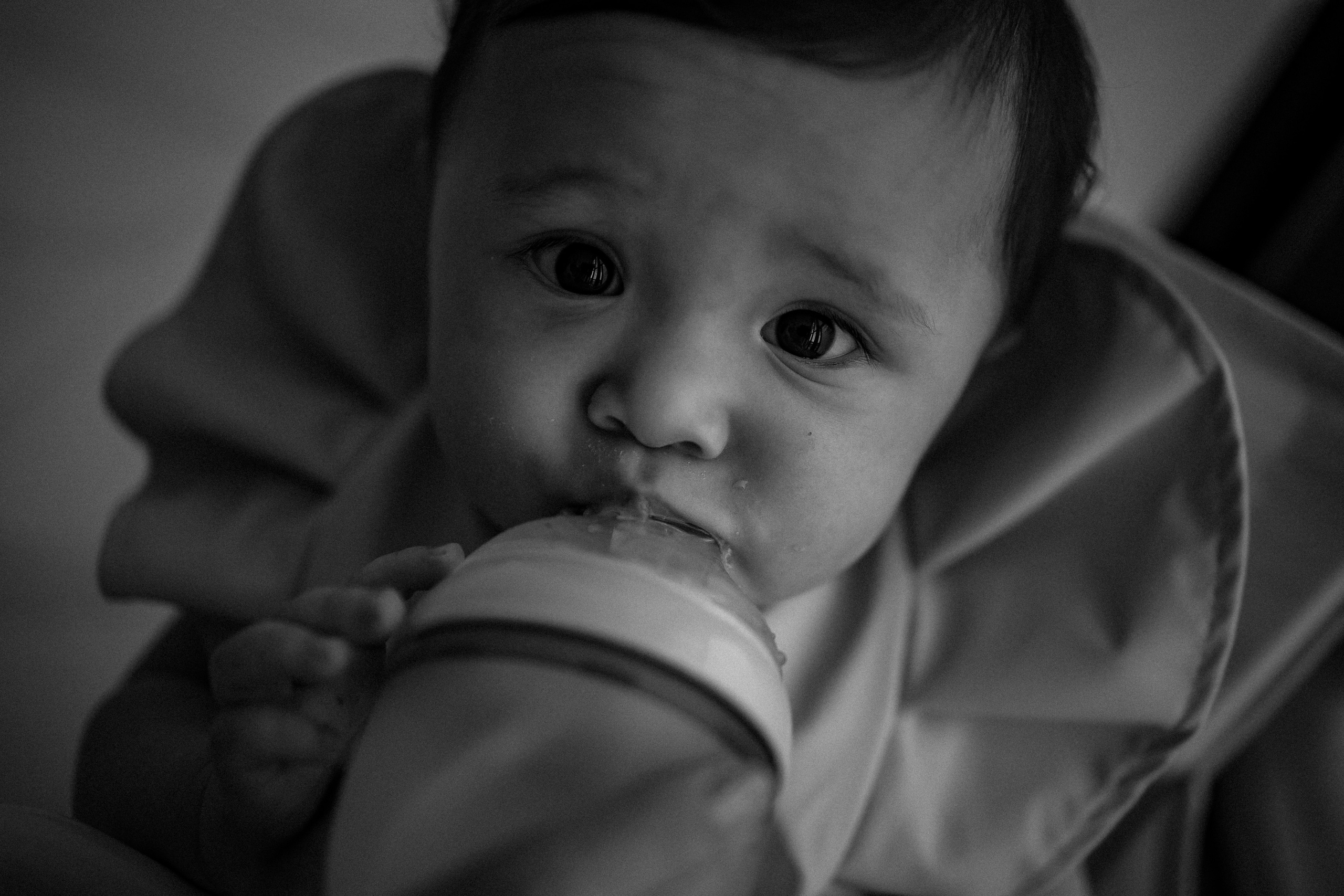 Tatiana Ivan Sofi 6,5 meses. Fotografa de família e crianças em Florianópolis SC Daria Ermolaev