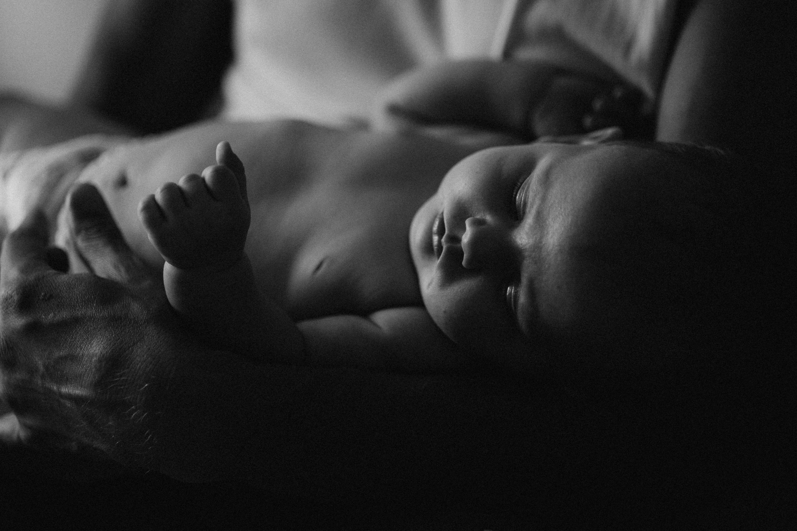 One Family Day. Fotografa de família e crianças em Florianópolis SC Daria Ermolaev