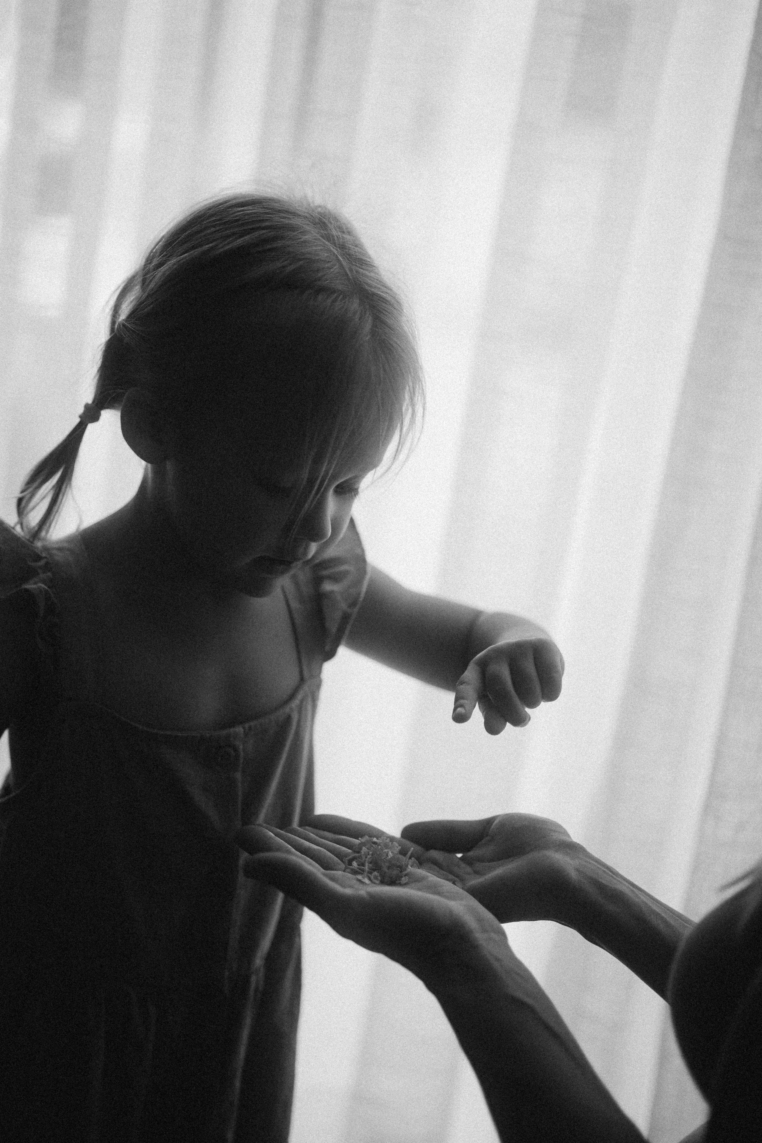 New LIfe on a Magic Island. Fotografa documental de familia e nascimento em Florianópolis SC Daria Ermolaev