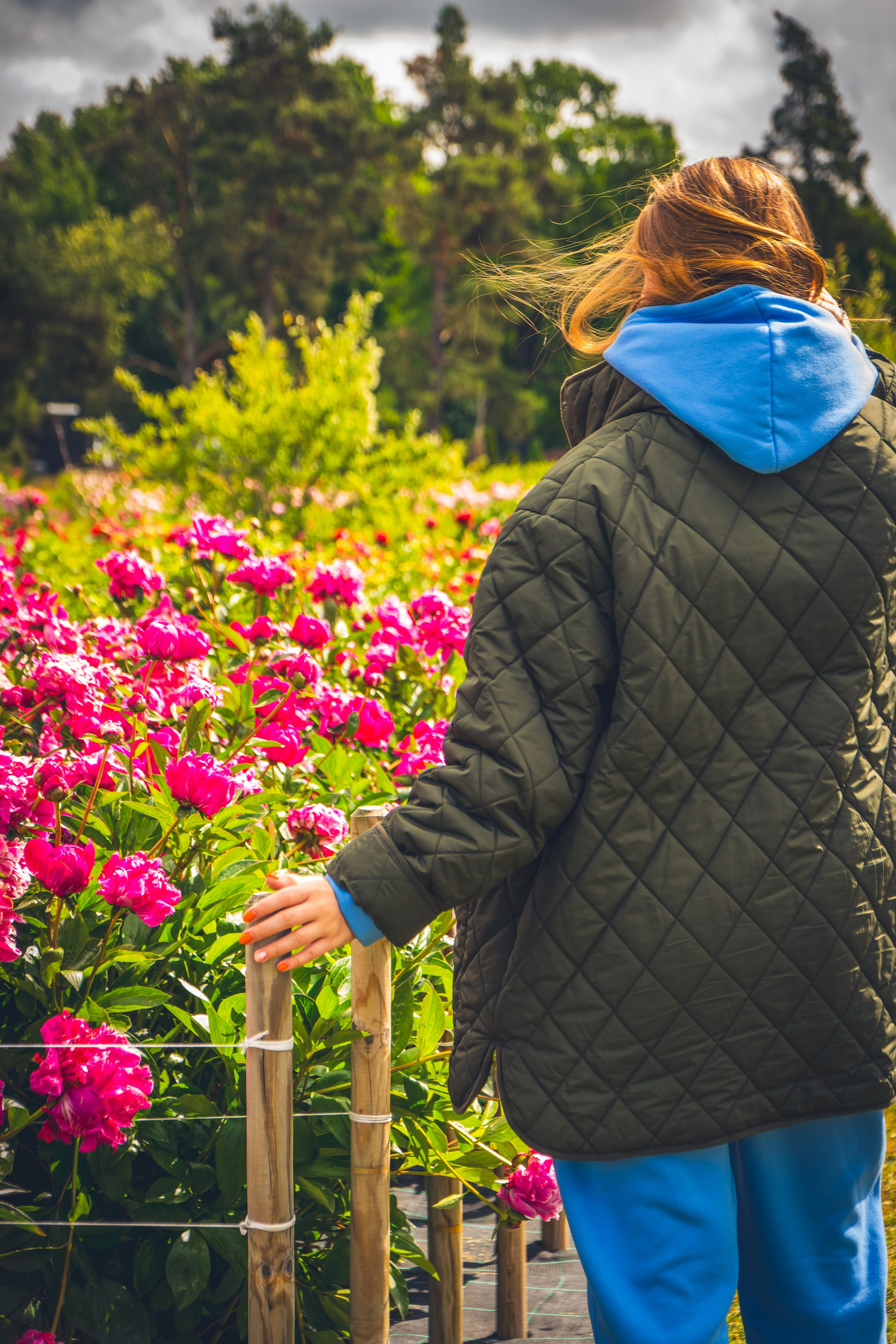 Saaremaa, reis (Nika A.). Nebula 25 — Fotod teie hingele