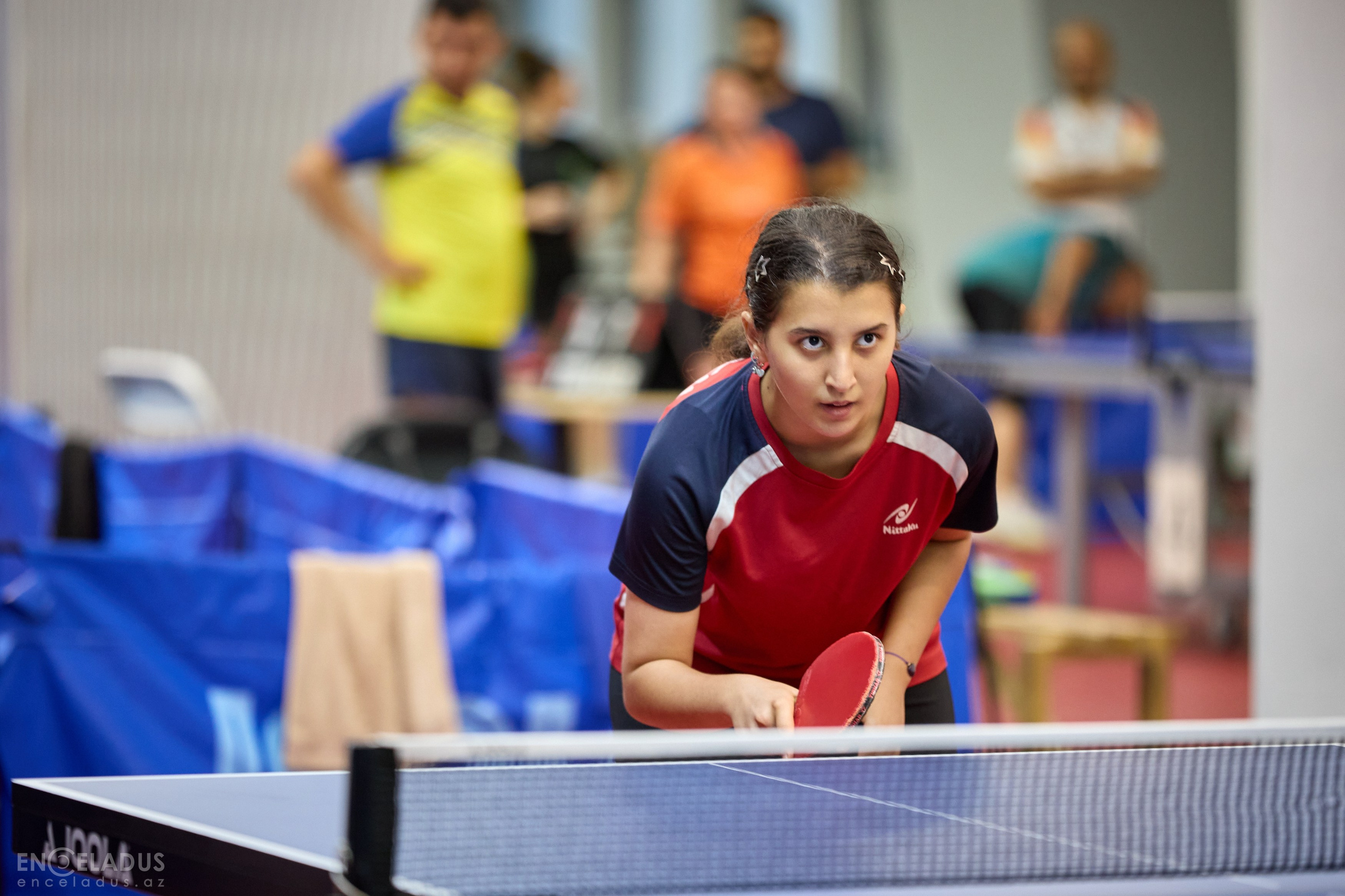 Table Tennis. Mix Tournament. Фотограф в Баку Kamran Enceladus